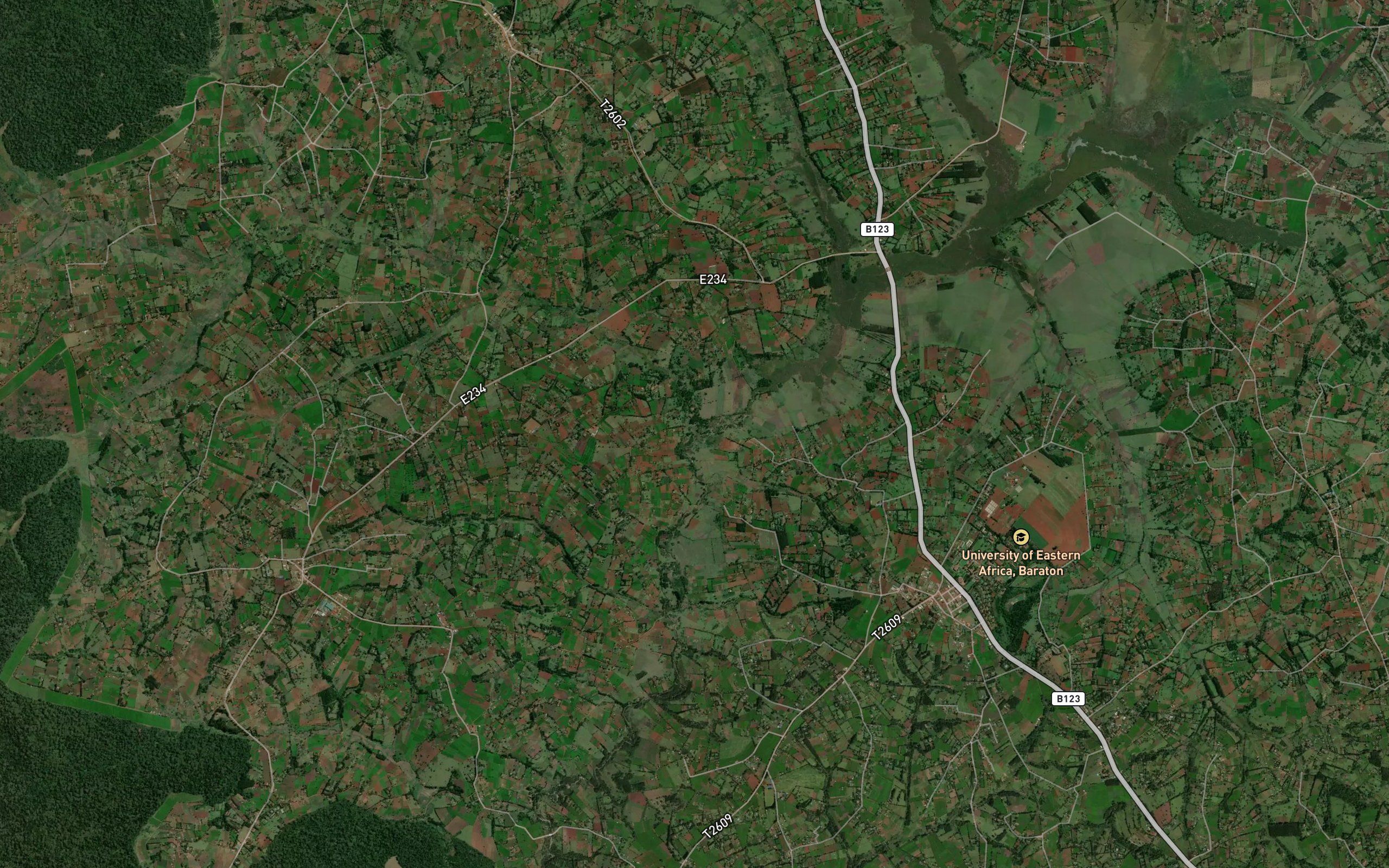 Cheblingwich