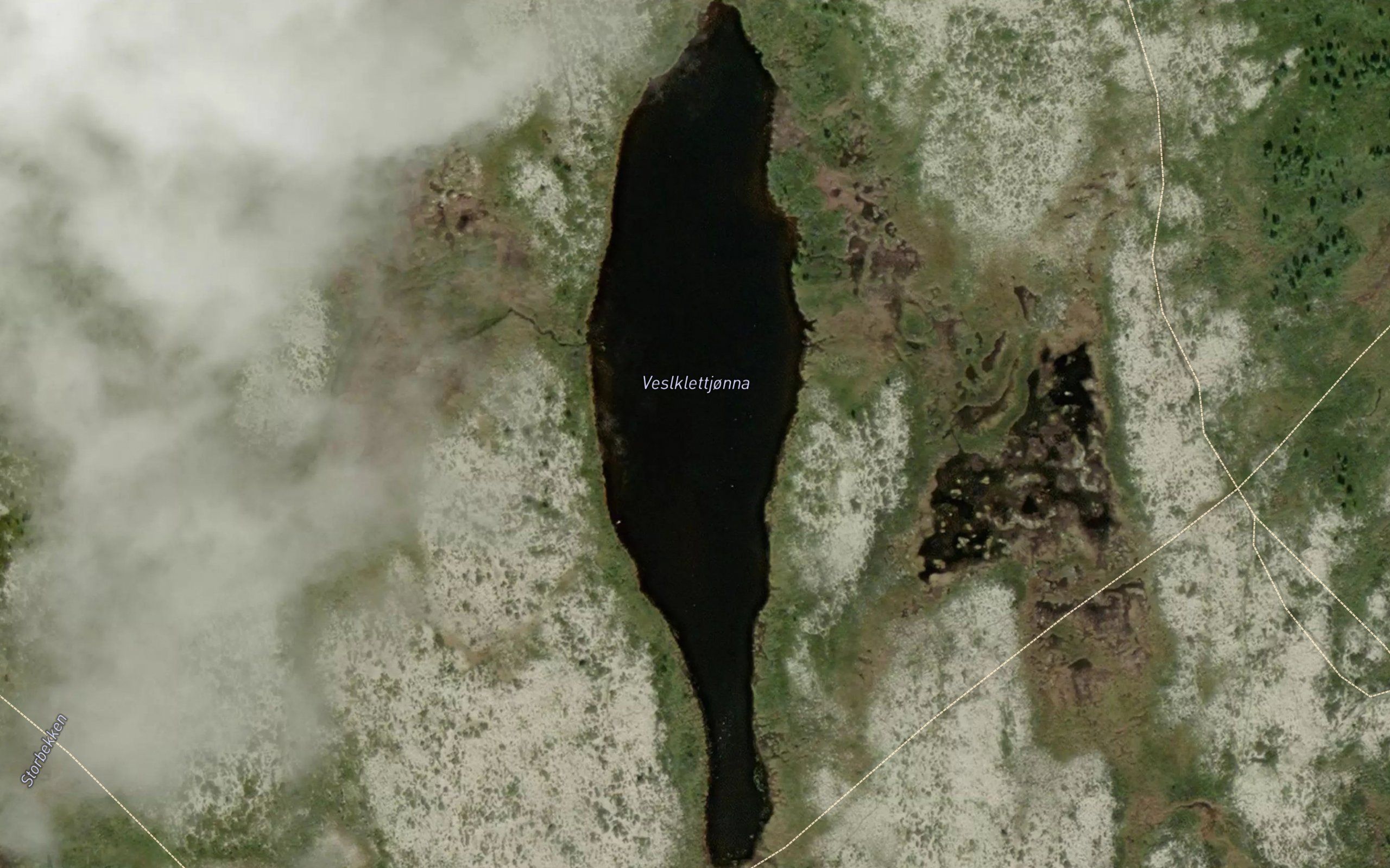 Vesleklettjonna