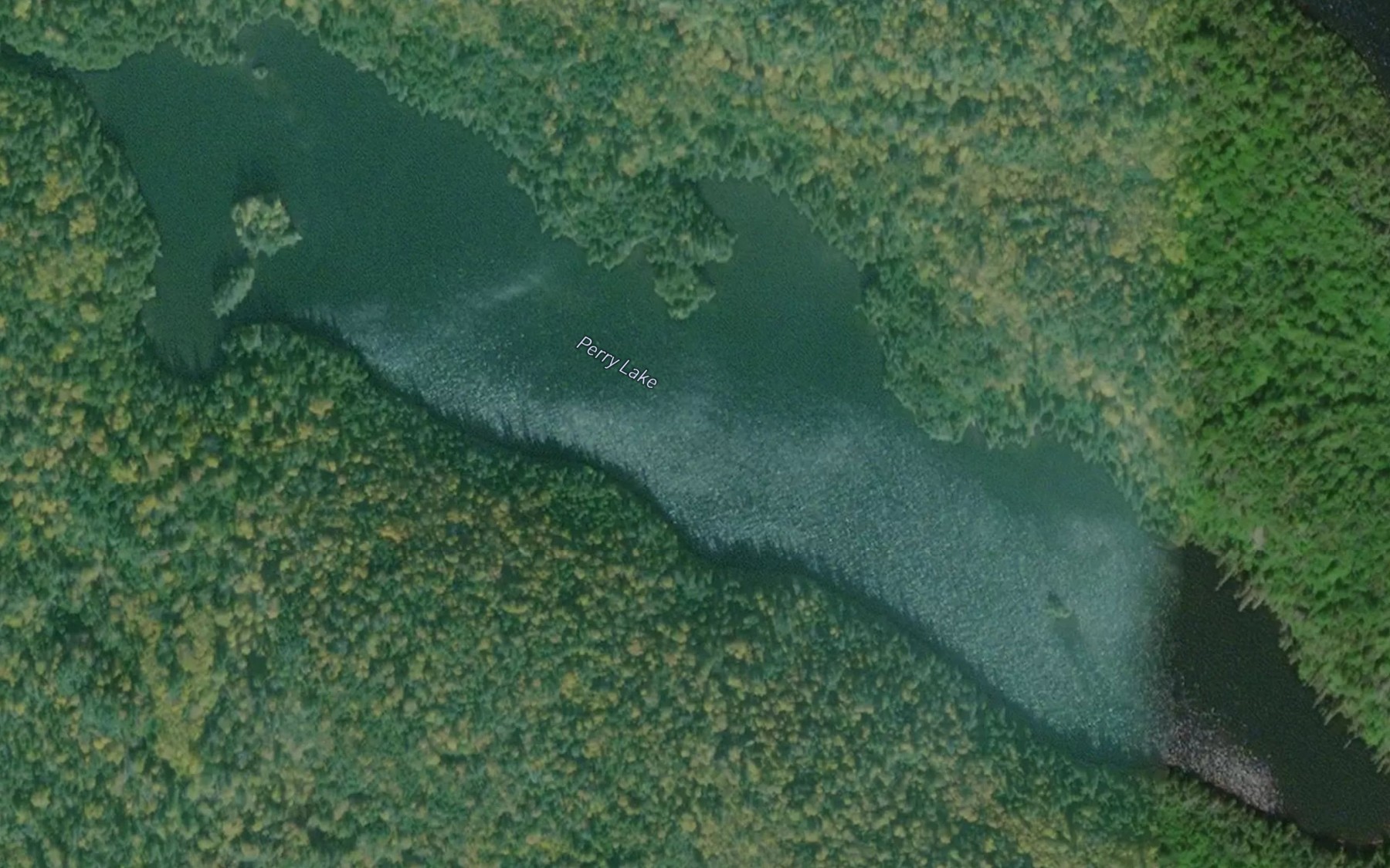 Satellite map of the Perry Lake