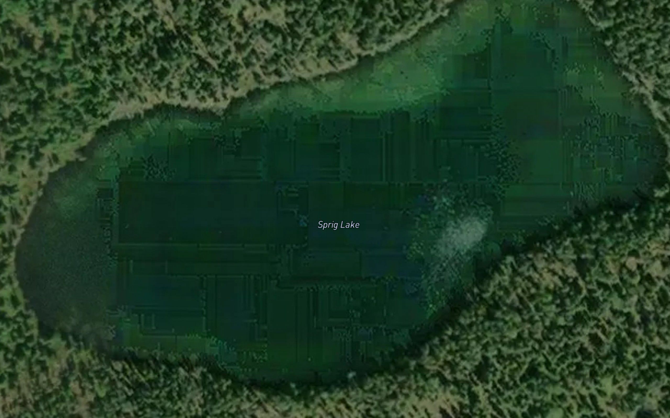 Sprig Lake