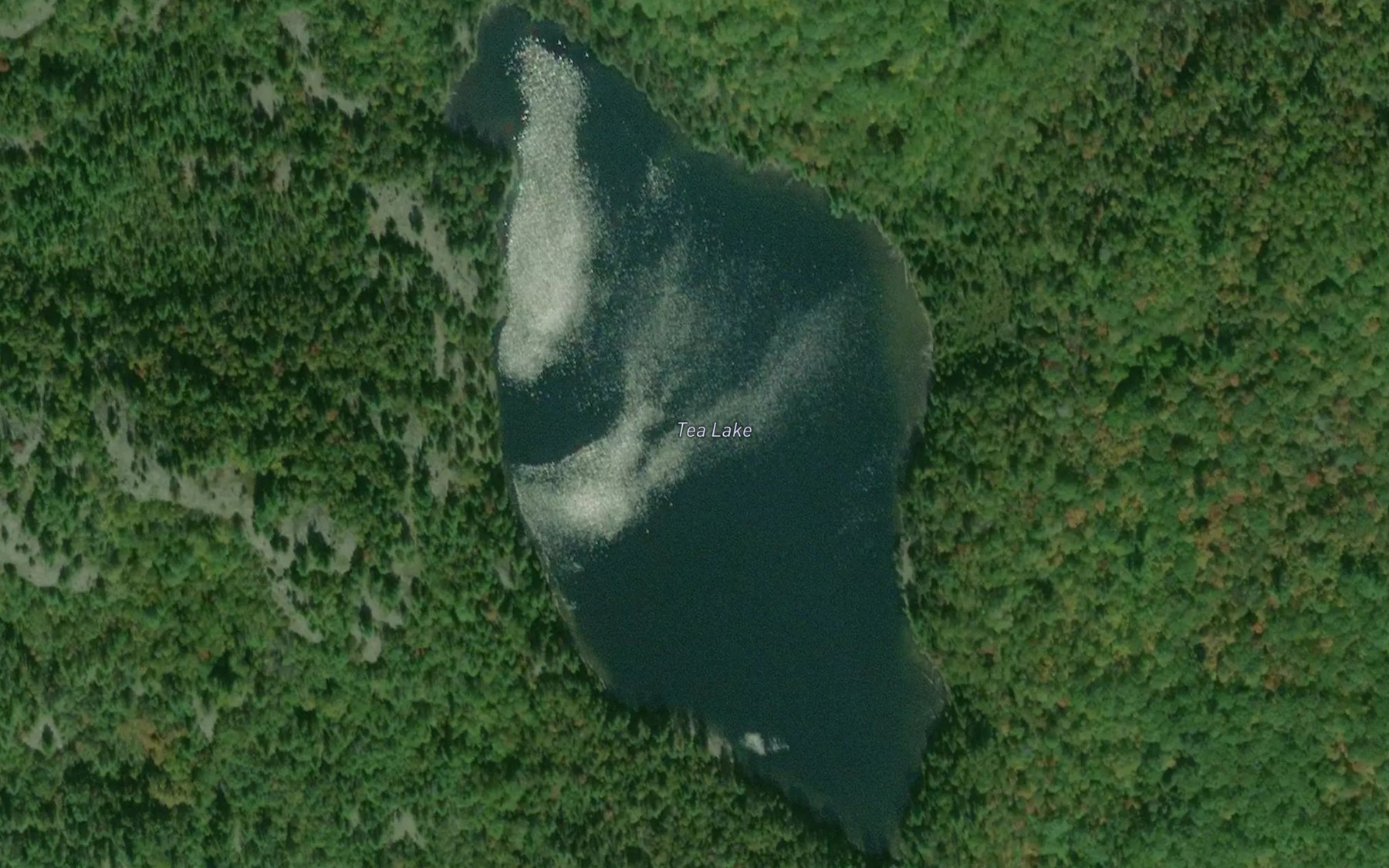 Satellite map of the Tea Lake