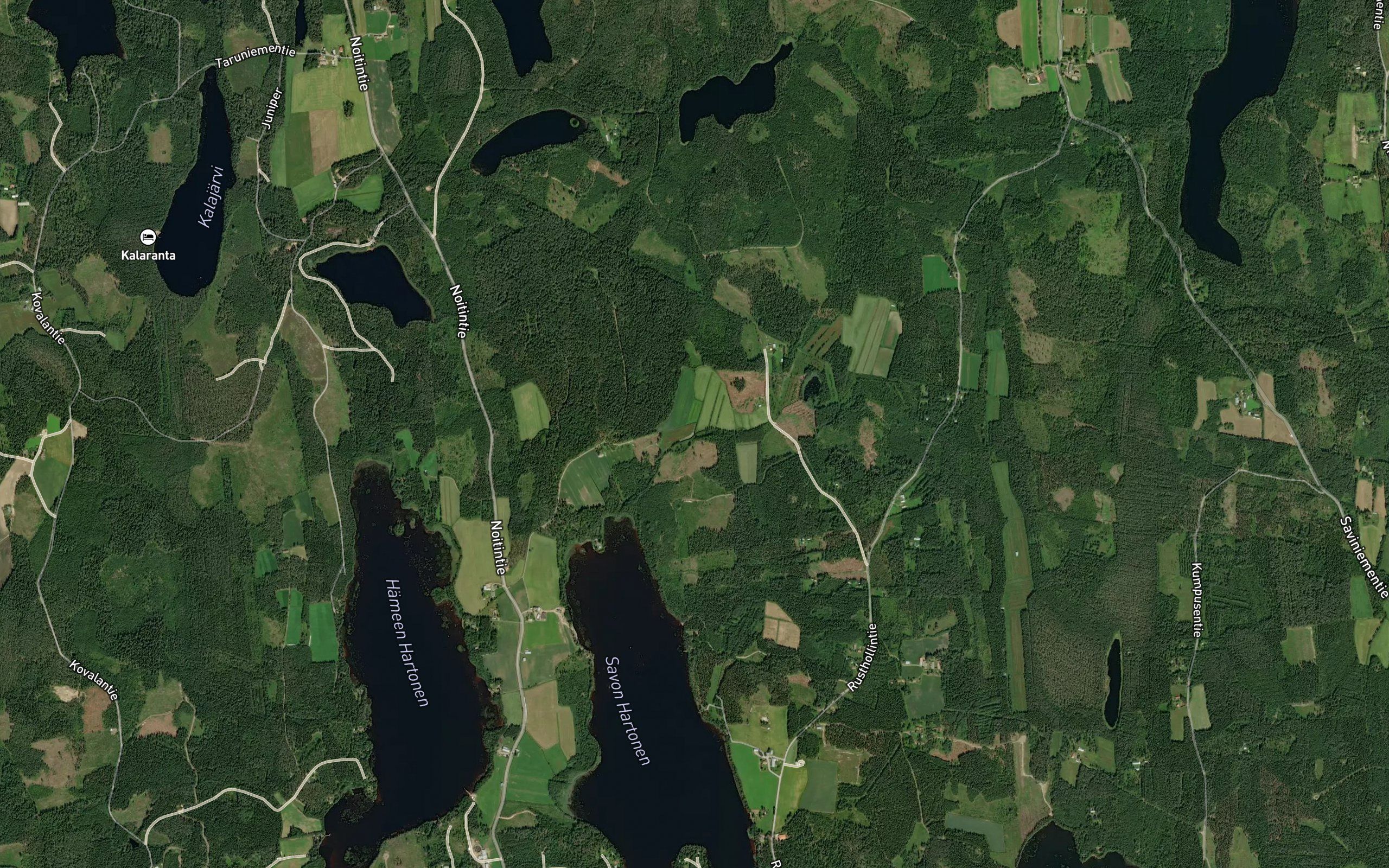 Koivuinenoja
