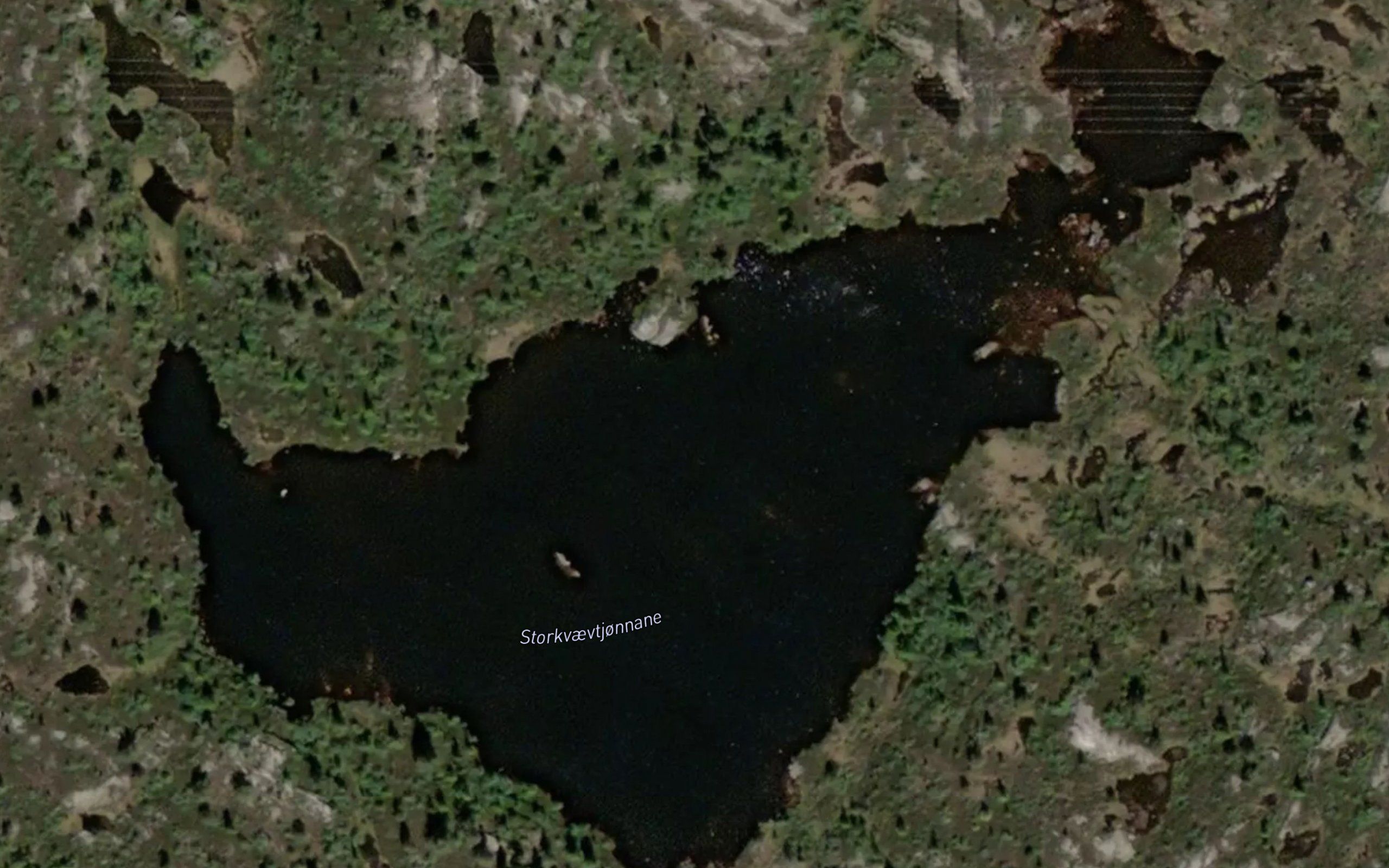 Storkvaevtjornane