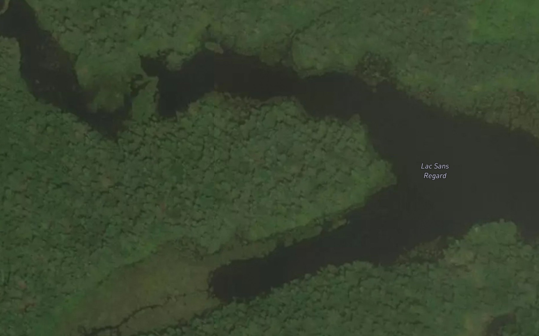 Satellite map of the Lac Sans Regard