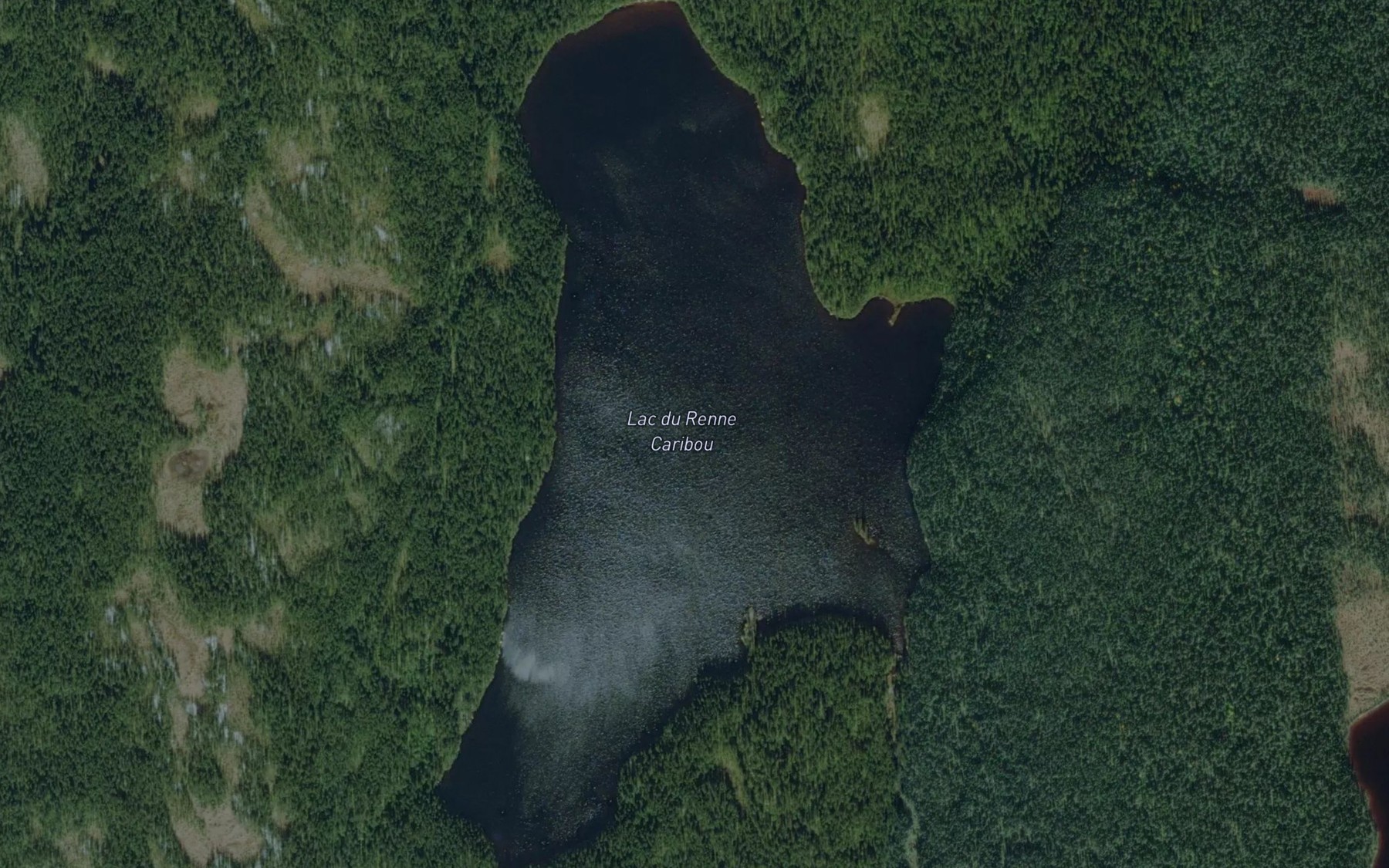 Satellite map of the Lac du Renne Caribou