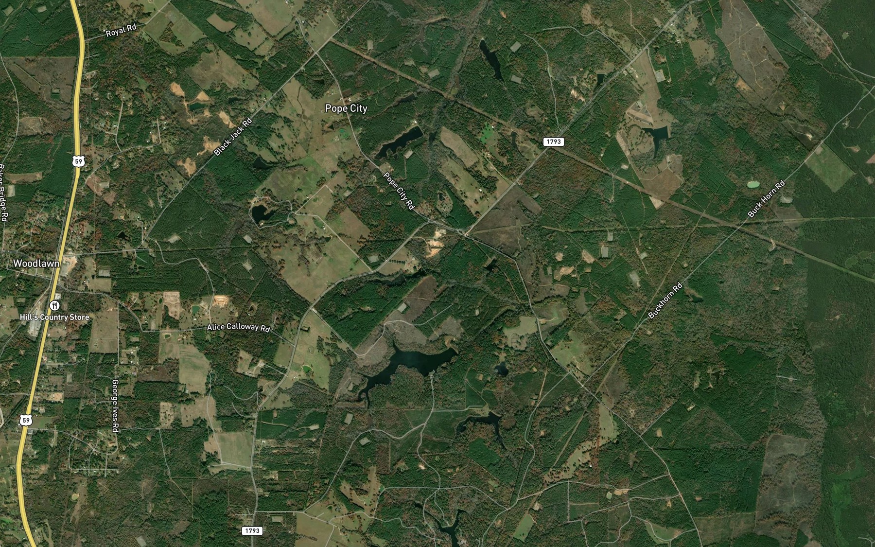 Satellite map of the Bonita Lake