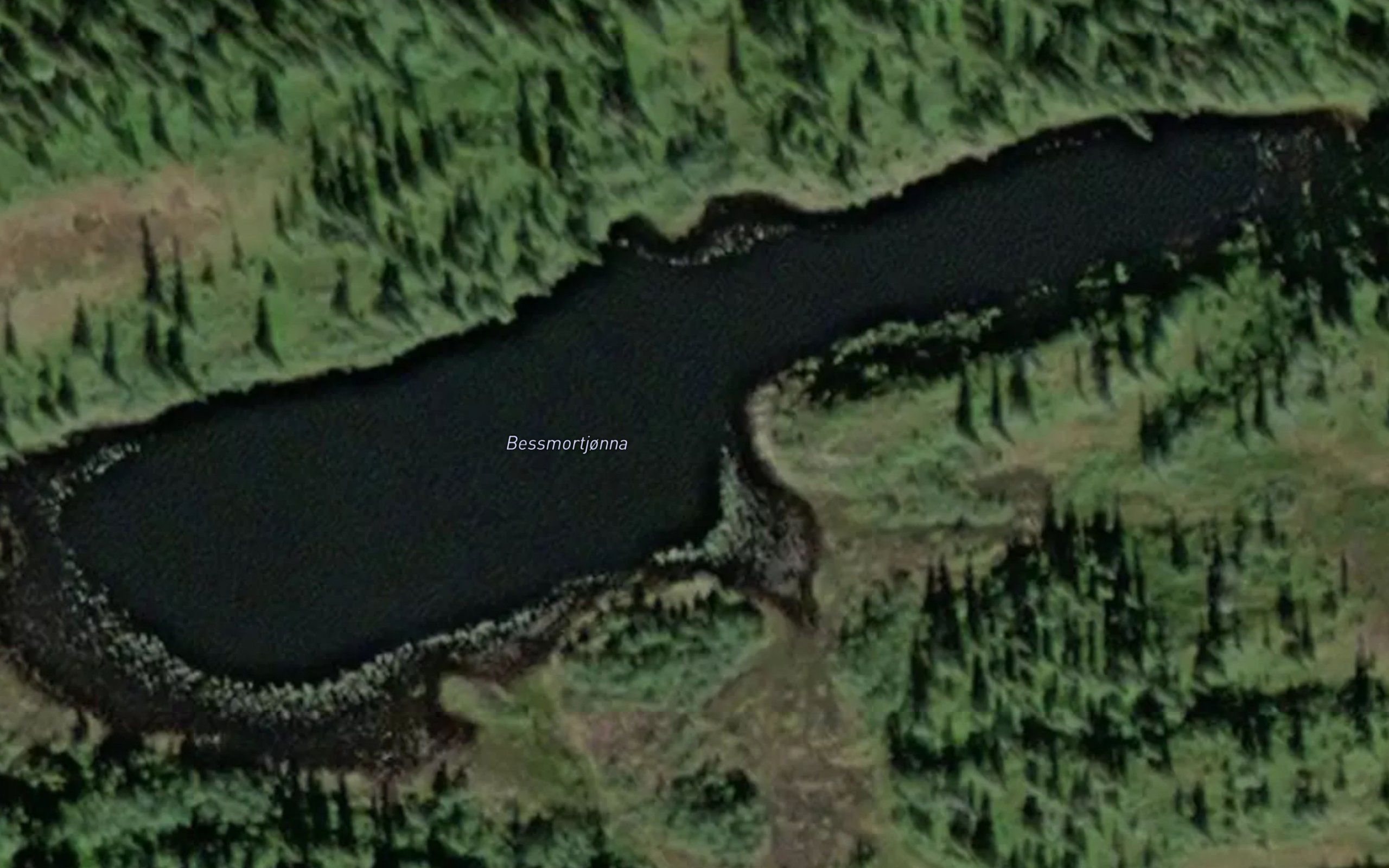 Bestmortjorna