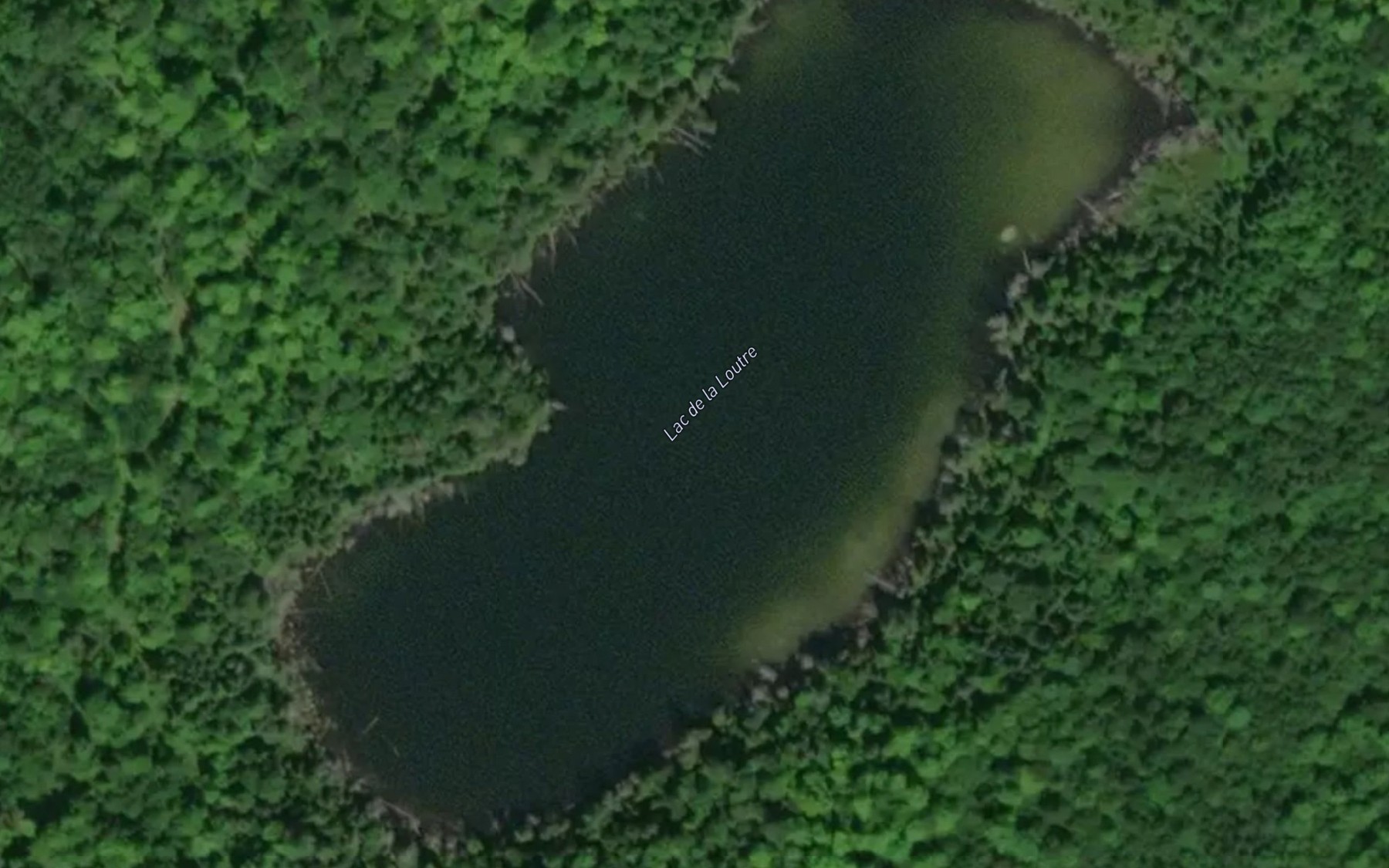 Satellite map of the Lac de la Loutre