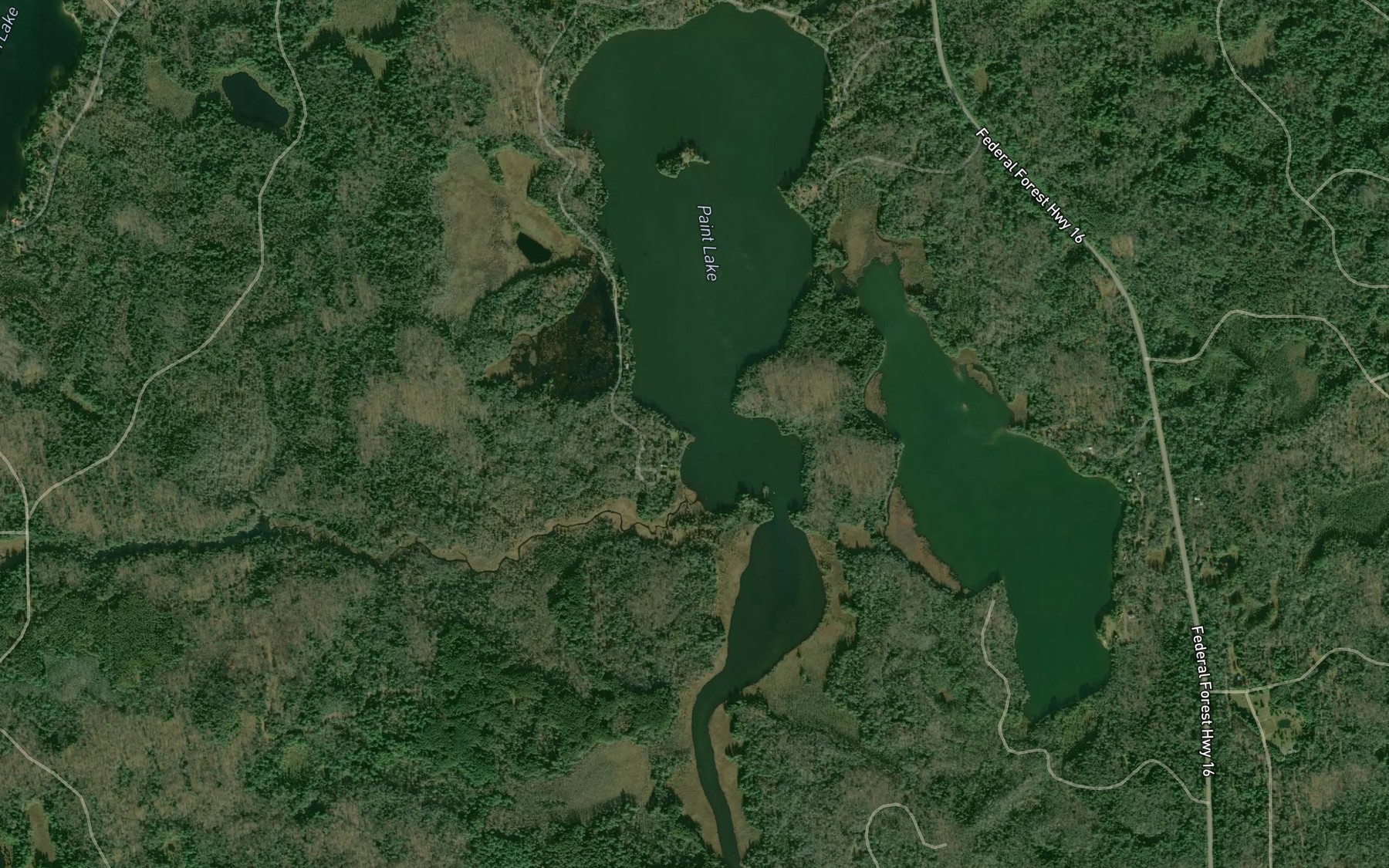 Satellite map of the Paint Lake