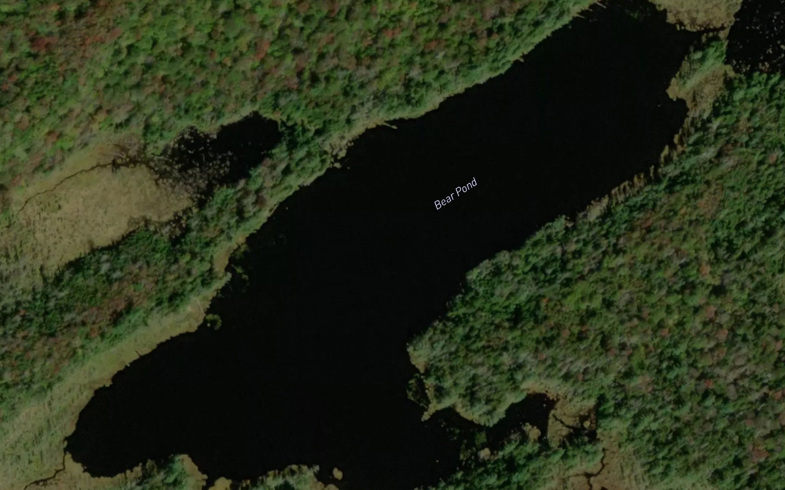 Bear Pond