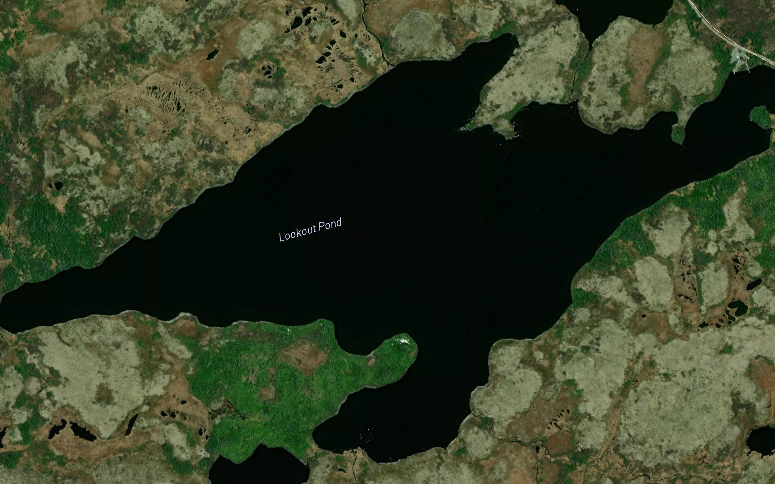 Lookout Pond