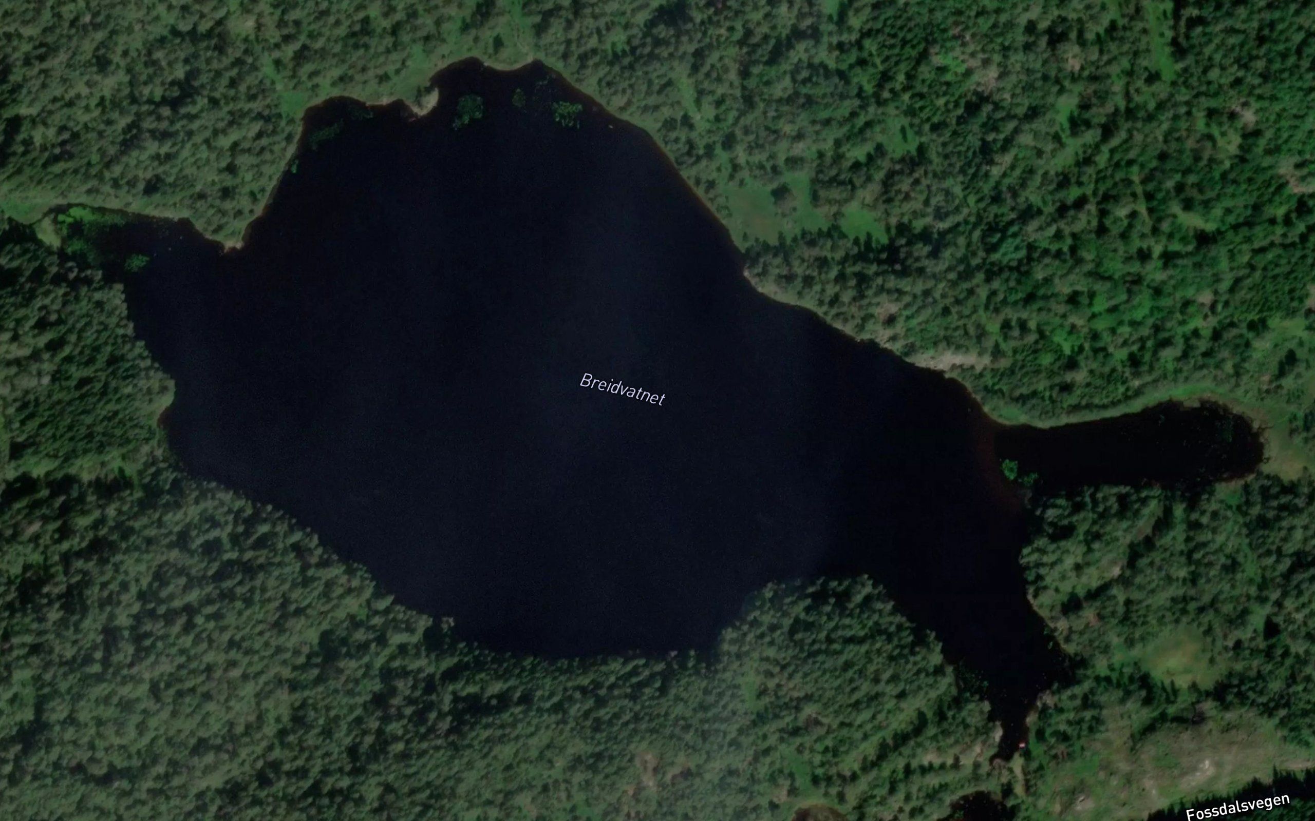 Breidvatnet