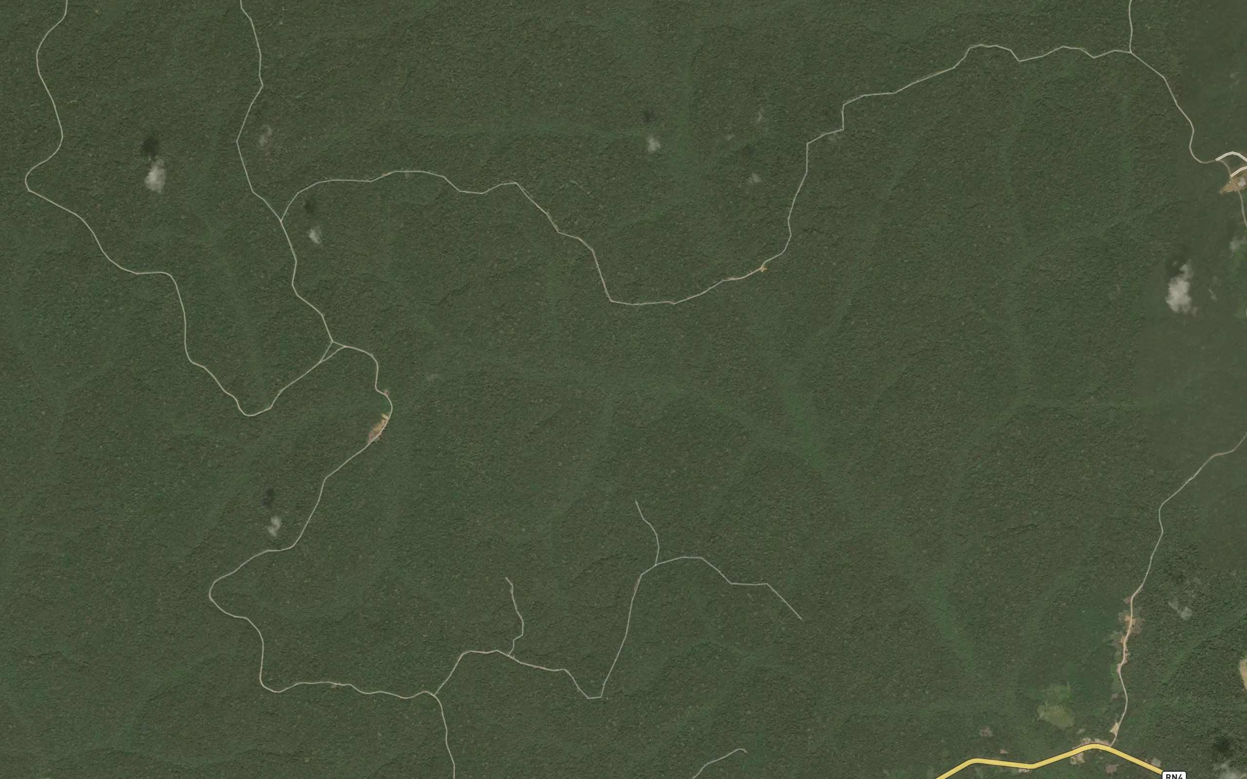 Ntinte
