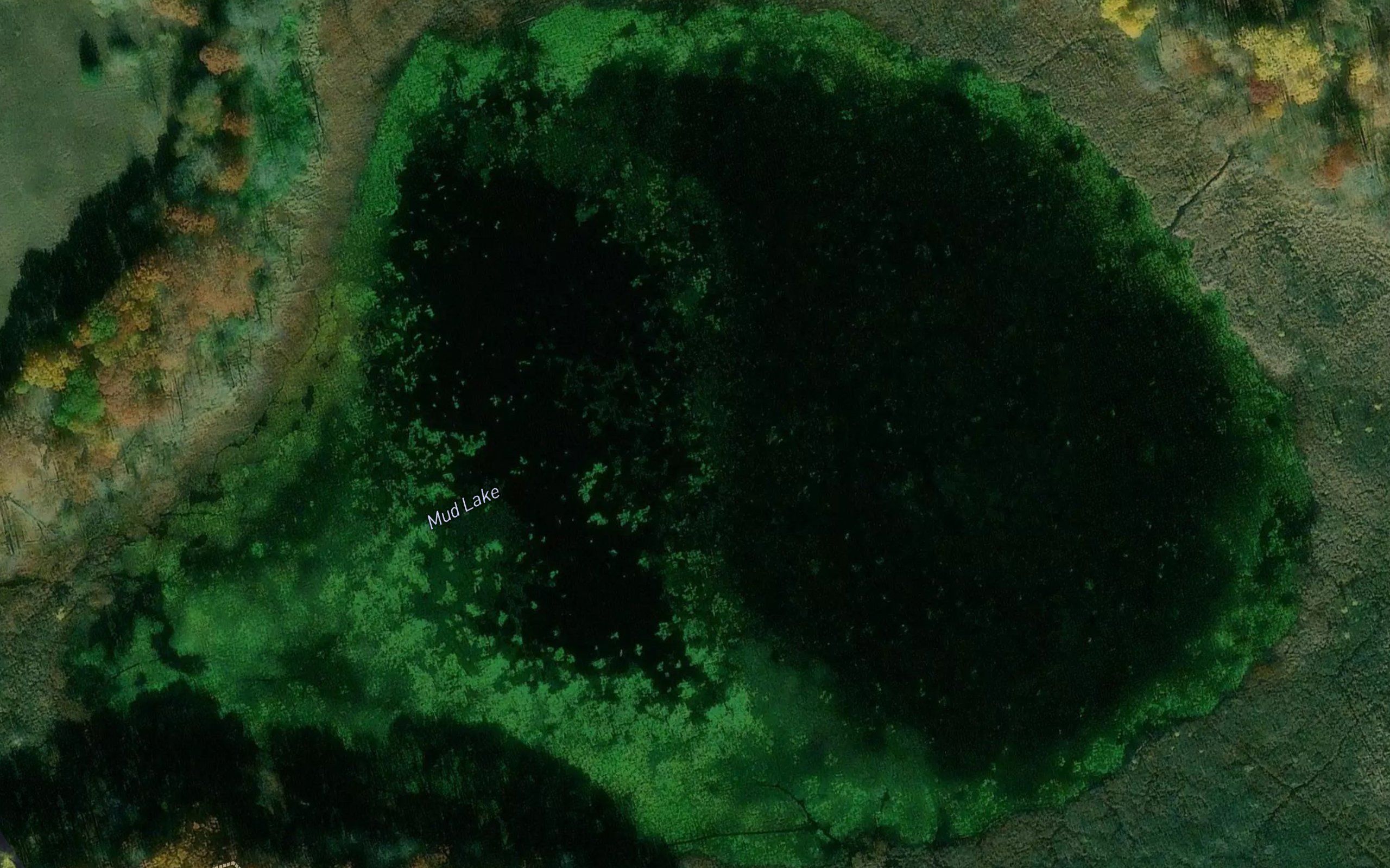 Mud Lake