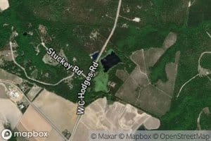 Swint Pond