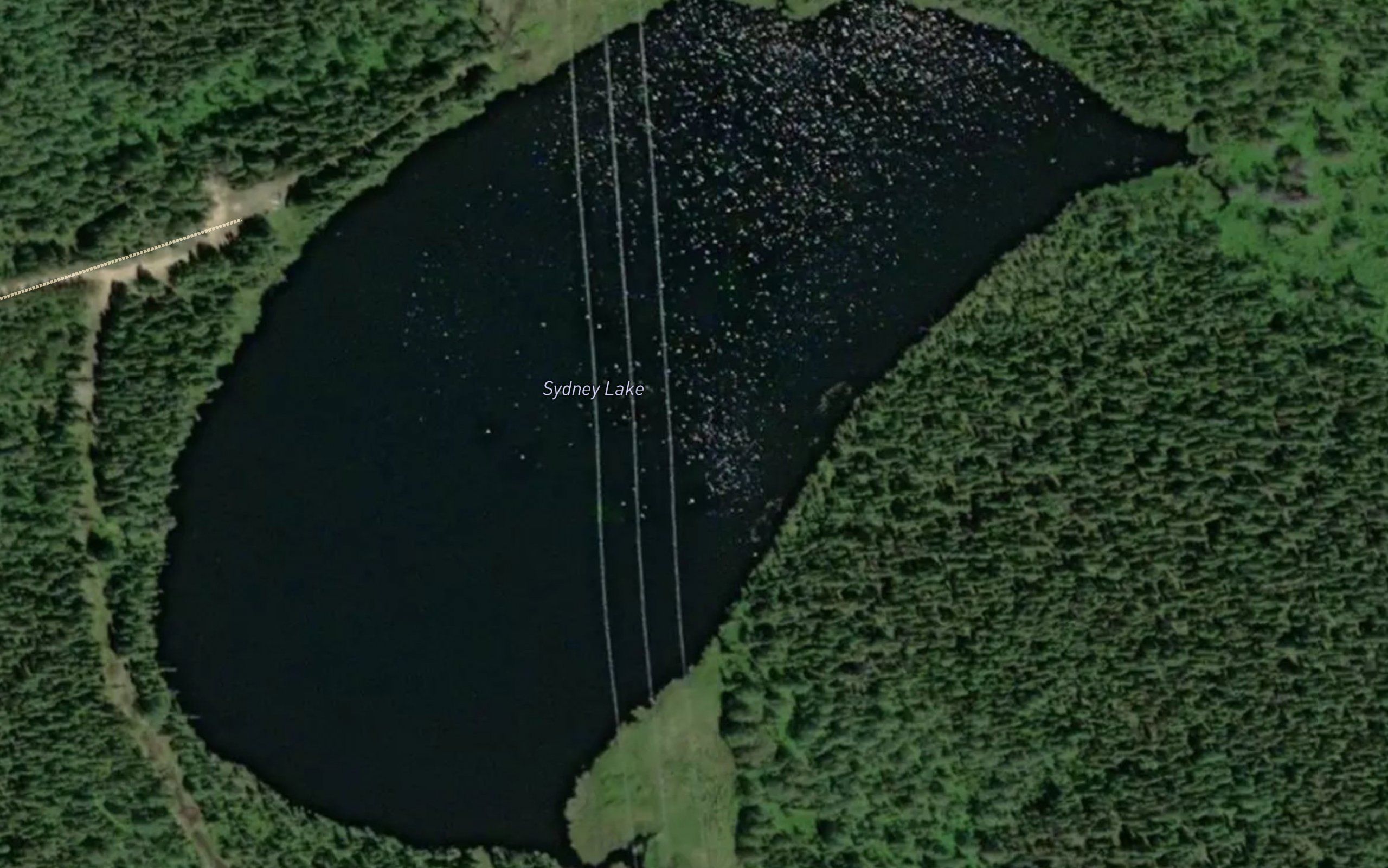 Sydney Lake