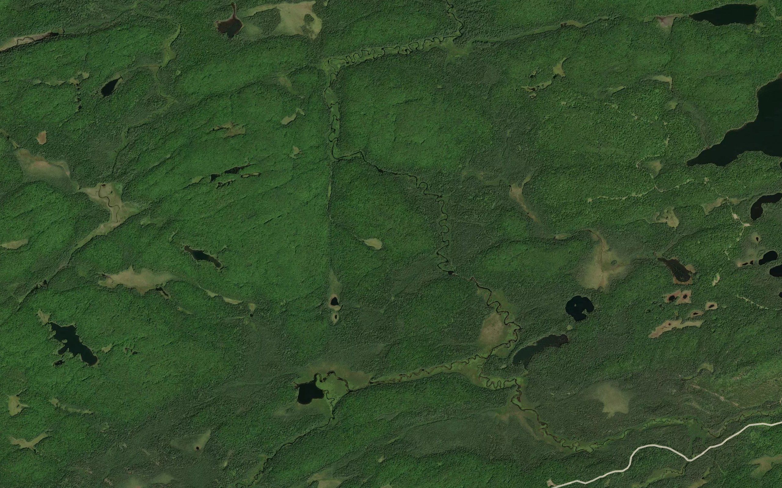 Shag Creek