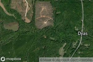 Tanyard Creek