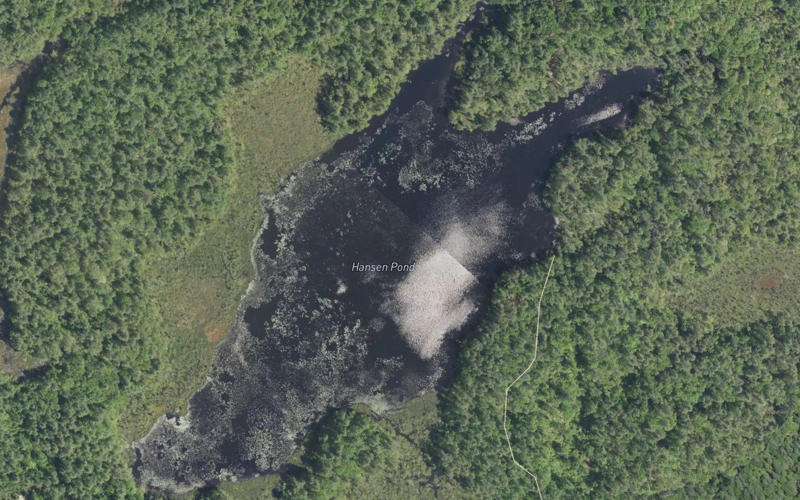 Hansen Pond
