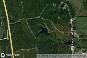 Scott Paper Company Pond