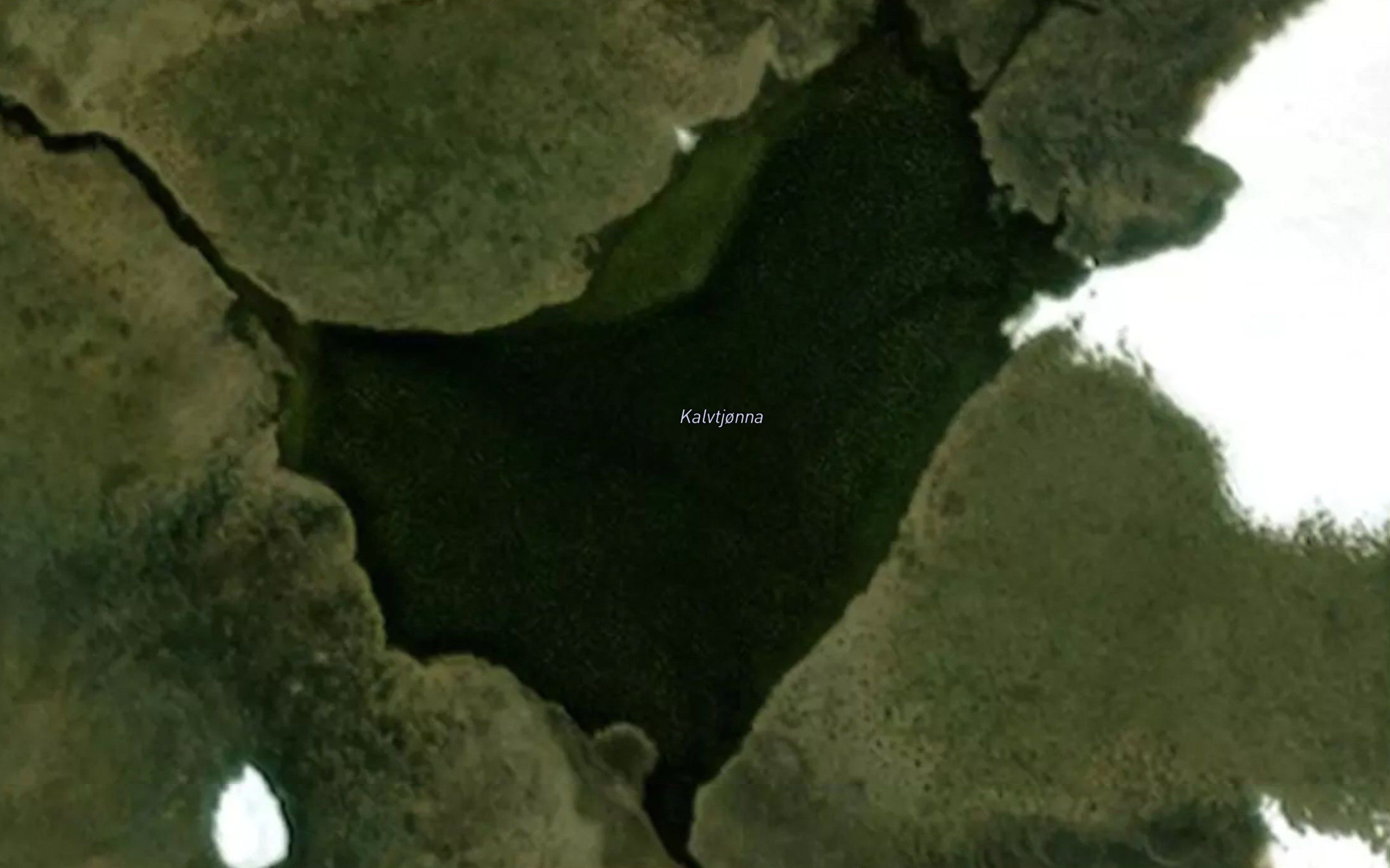 Kalvtjorna