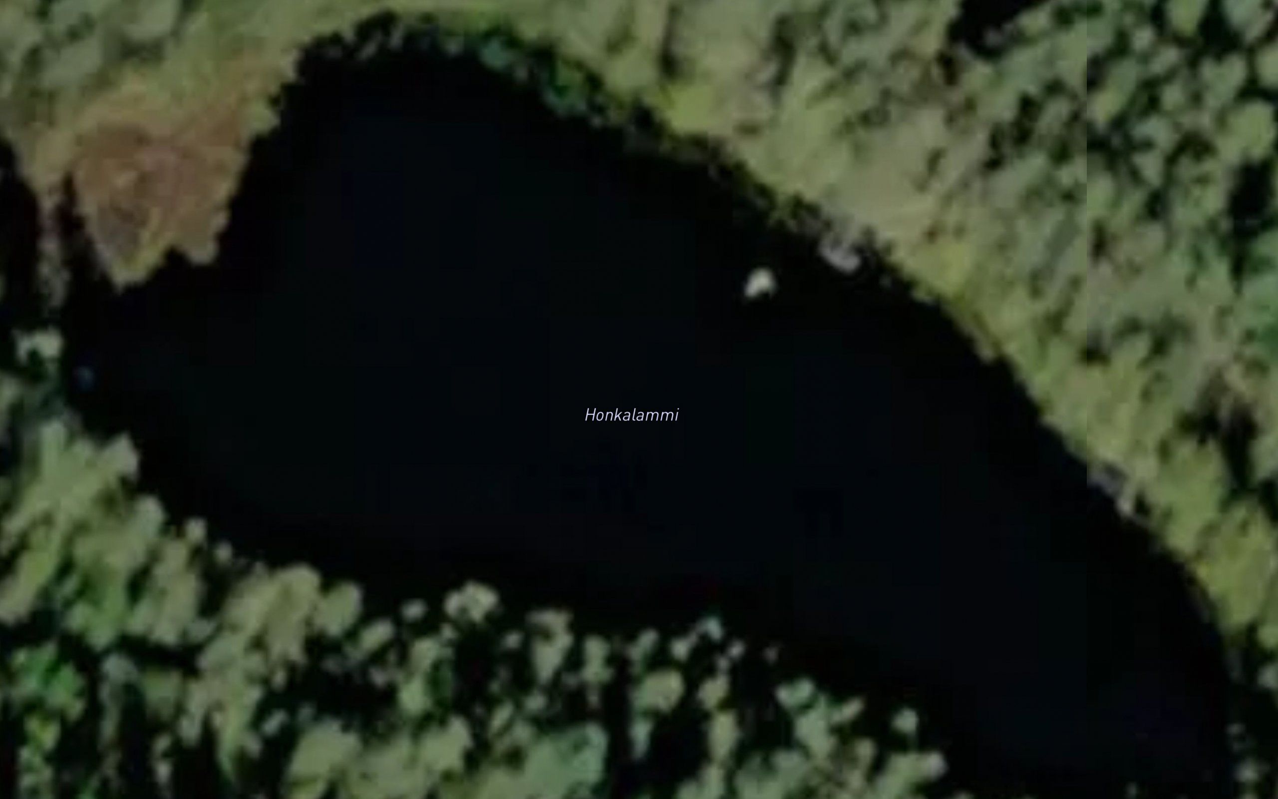 Honkalammi