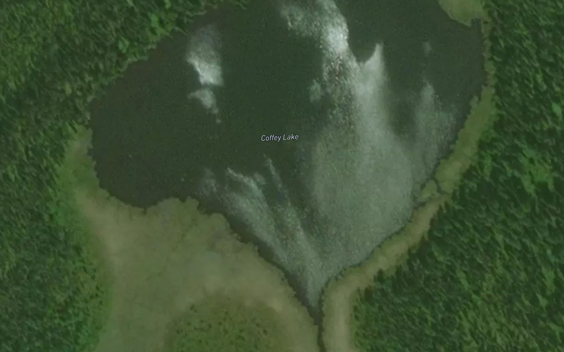 Satellite map of the Coffey Lake