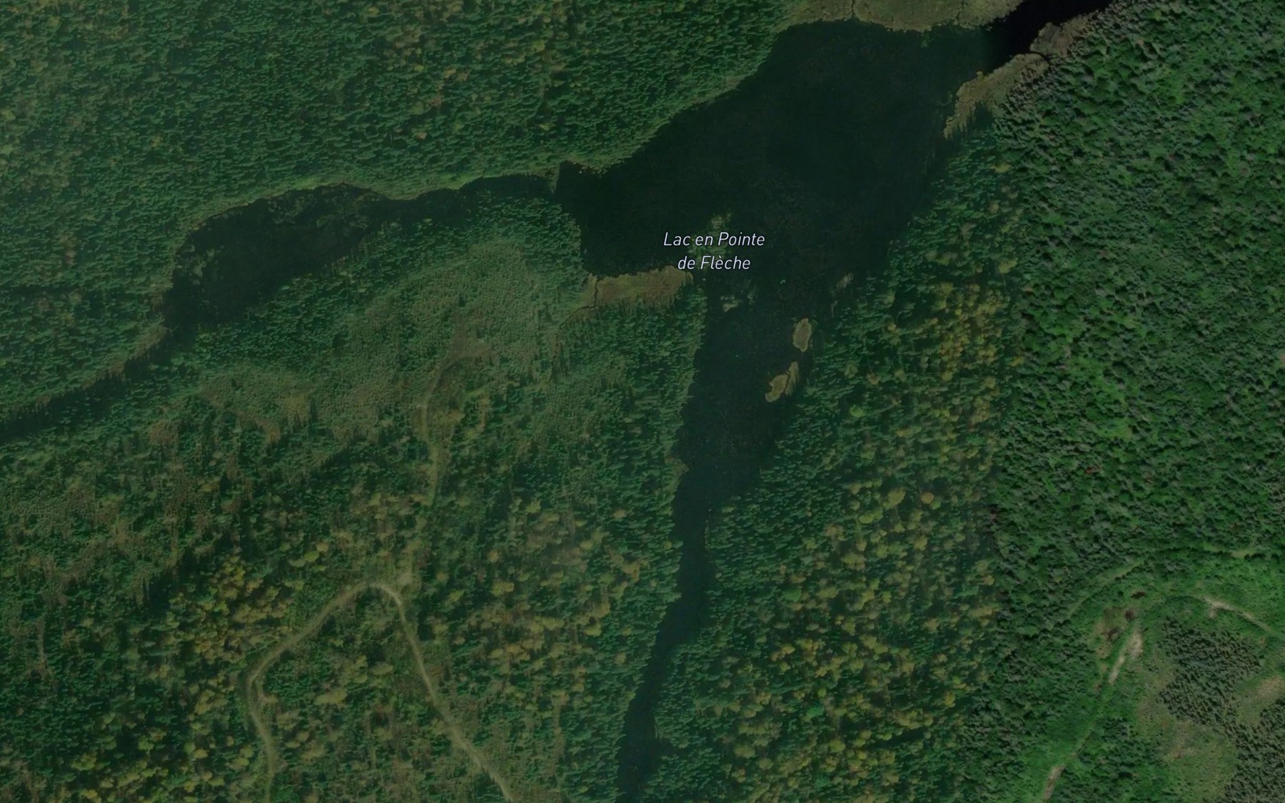 Satellite map of the Lac en Pointe de Fleche