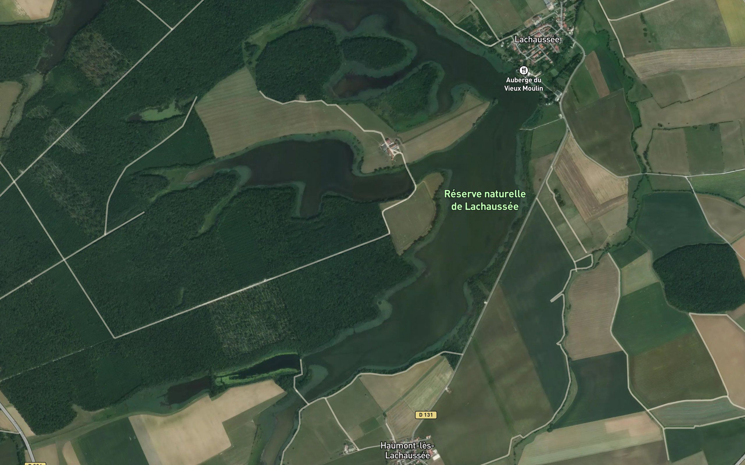 Etang de Lachaussee