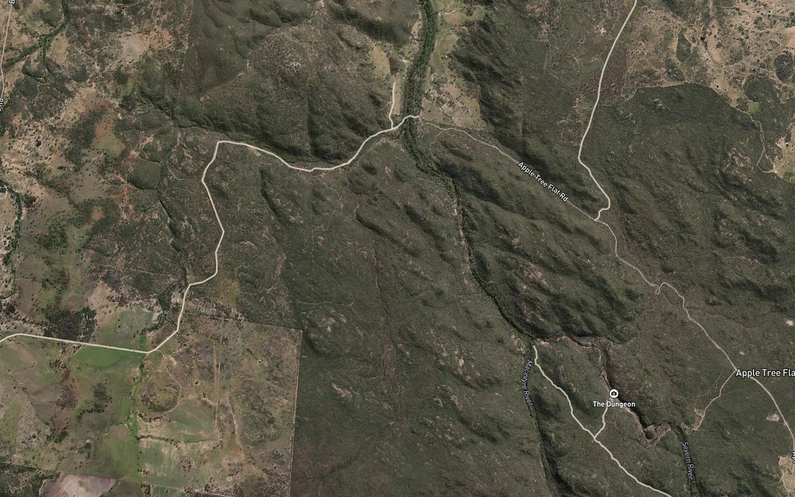 Reedy Creek