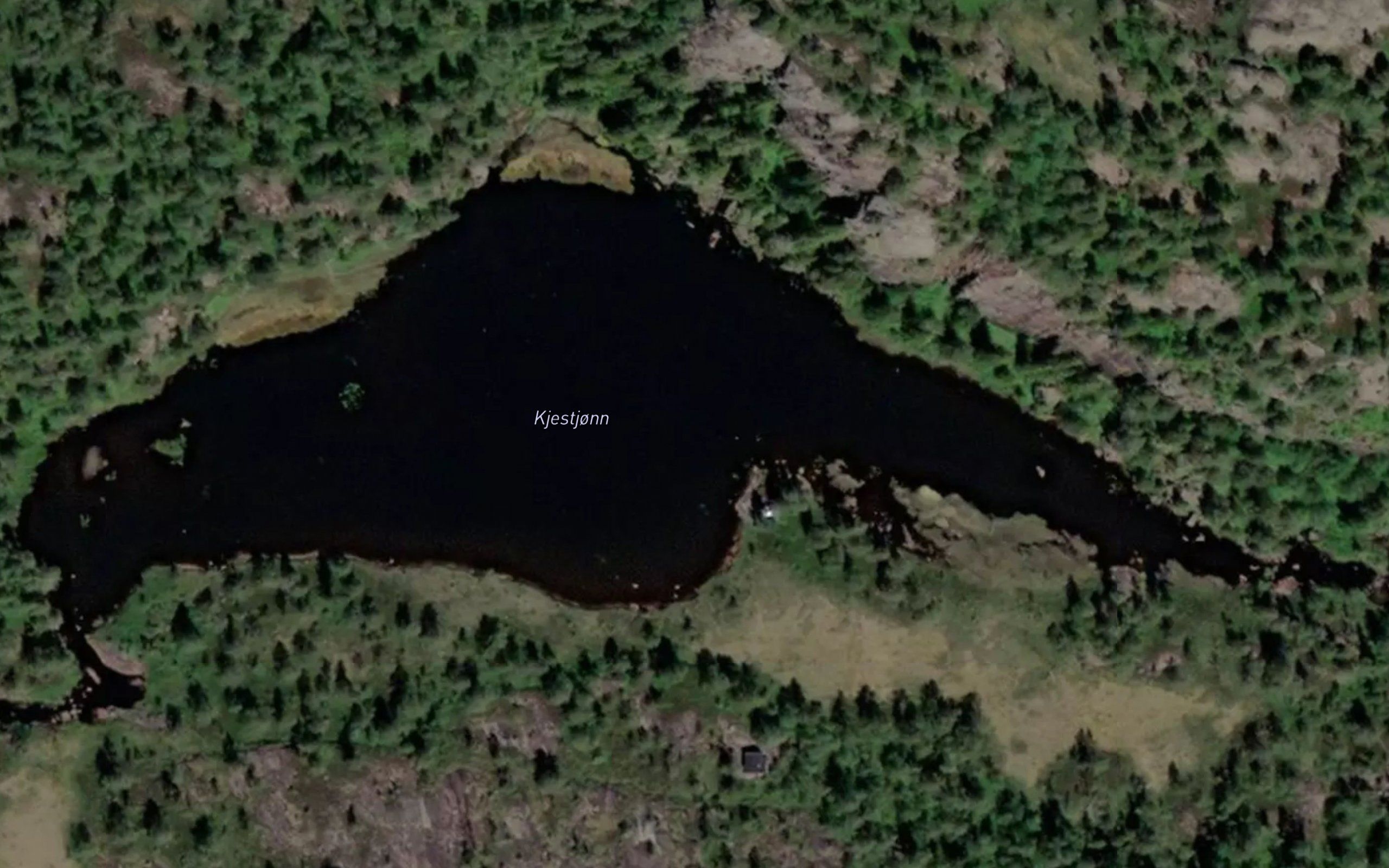 Kjestjorn