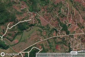 Mbongozi