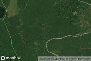 Buzzards Roost Swamp