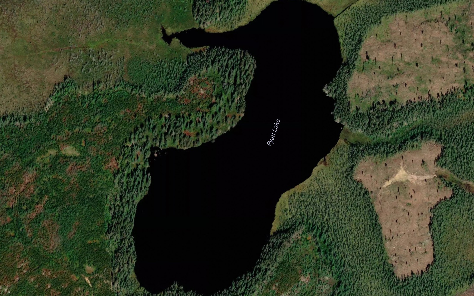 Satellite map of the Pyatt Lake