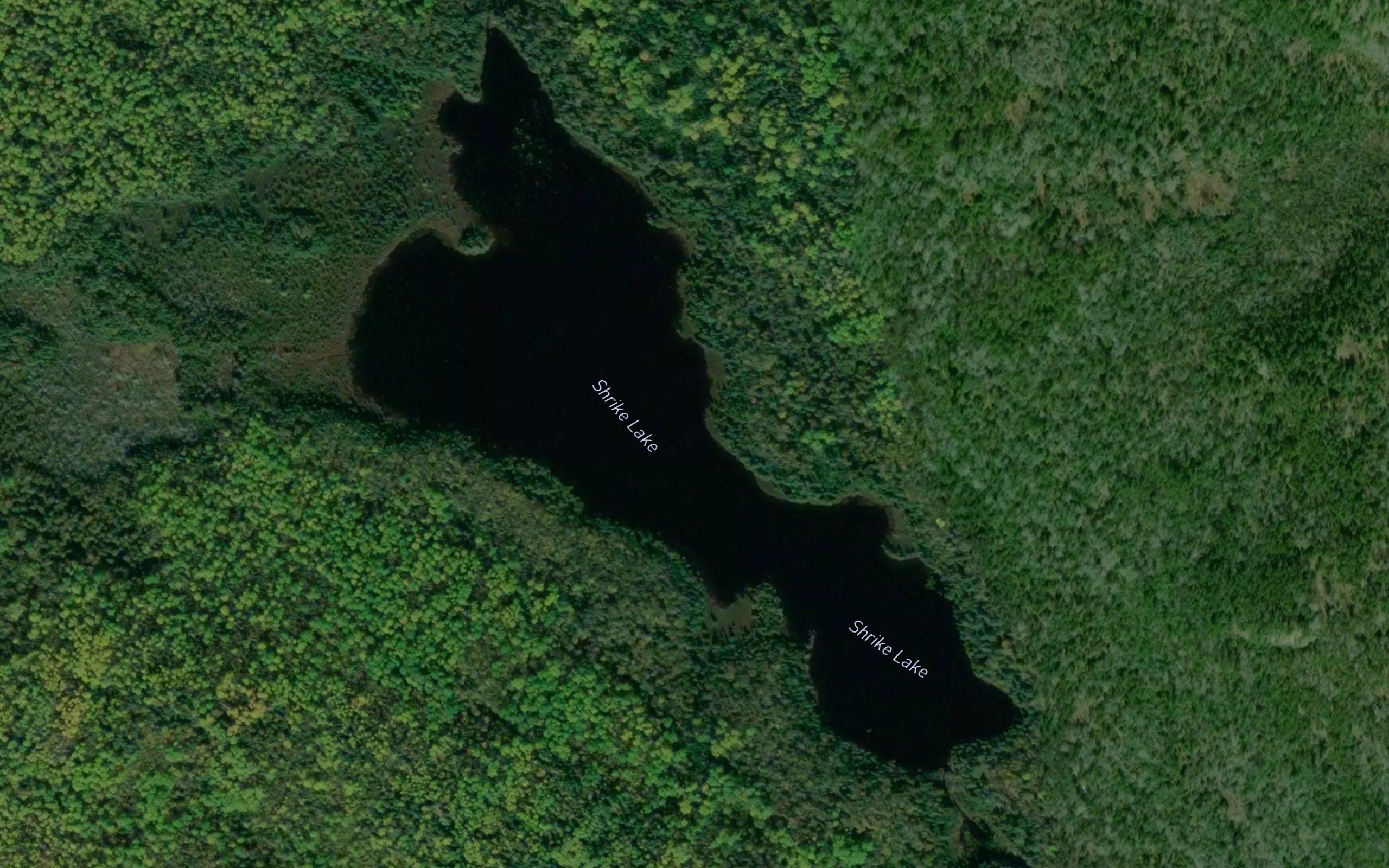Shrike Lake