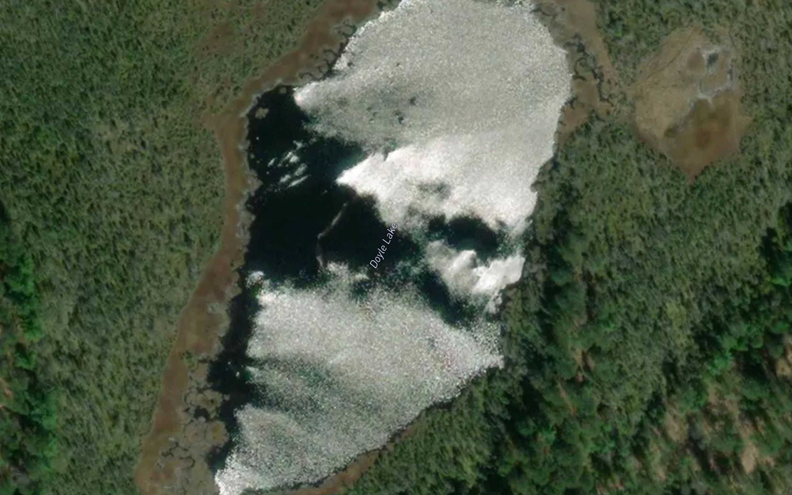 Doyle Lake