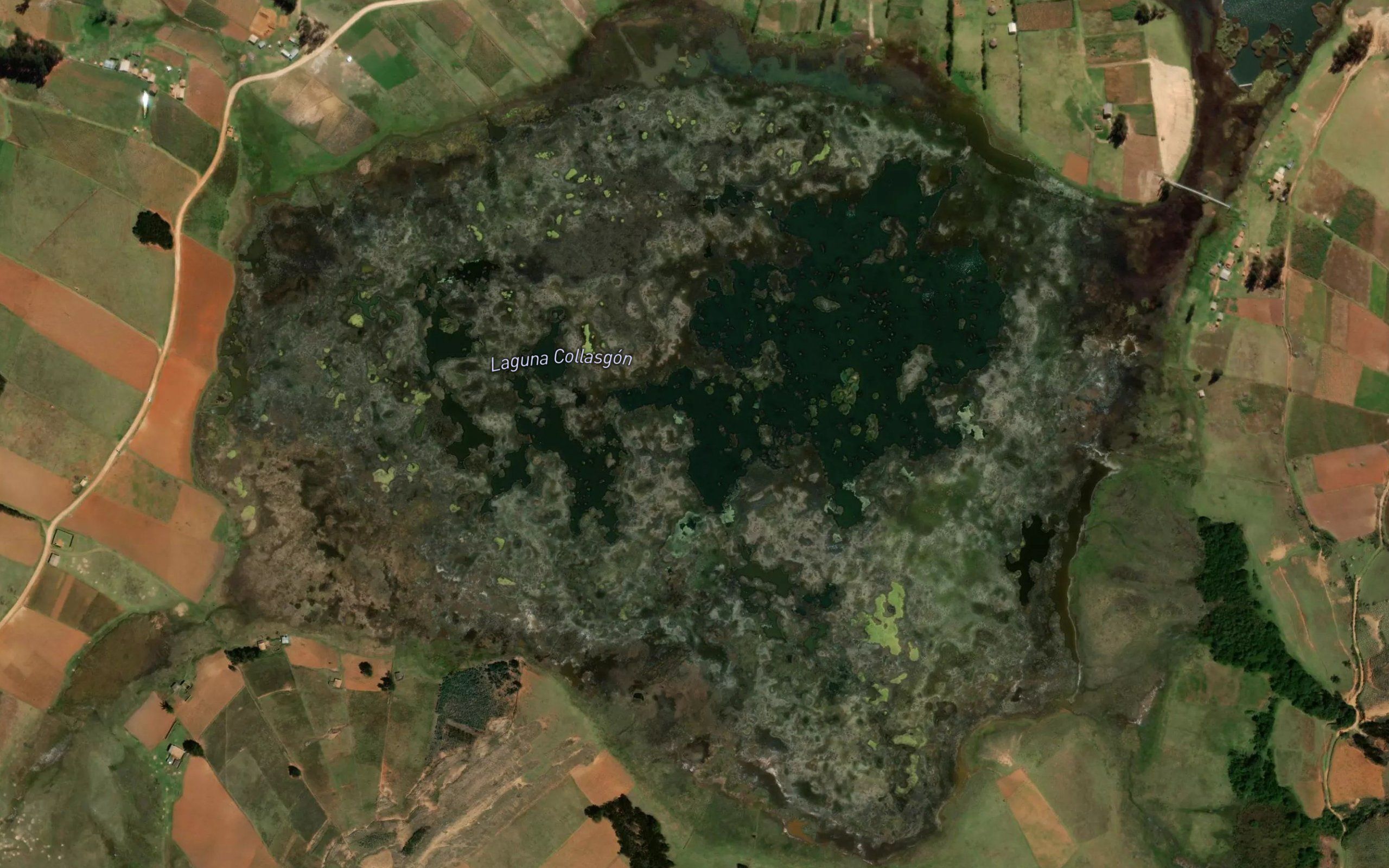 Lagunas Collasgon