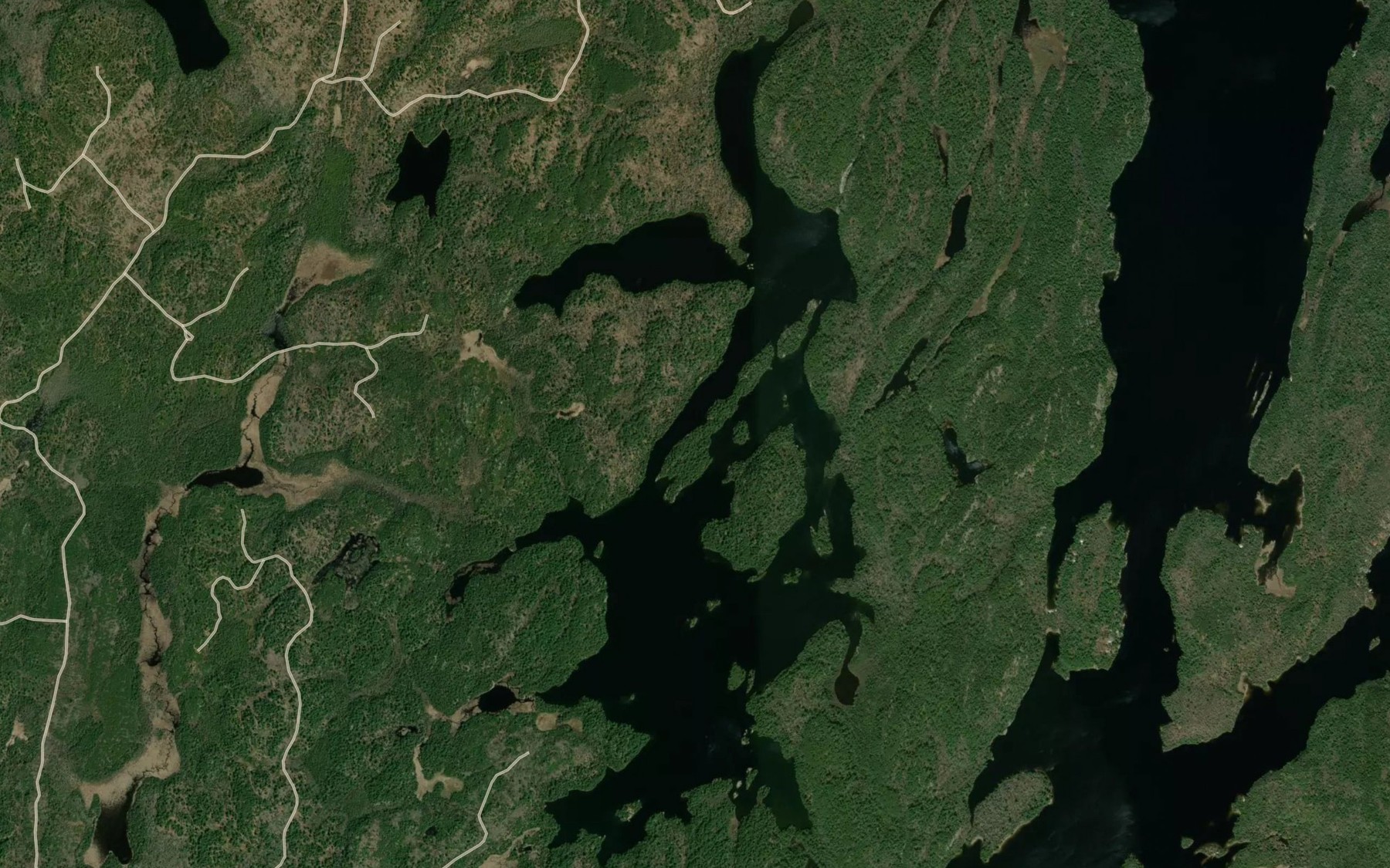 Satellite map of the Reuben Lake