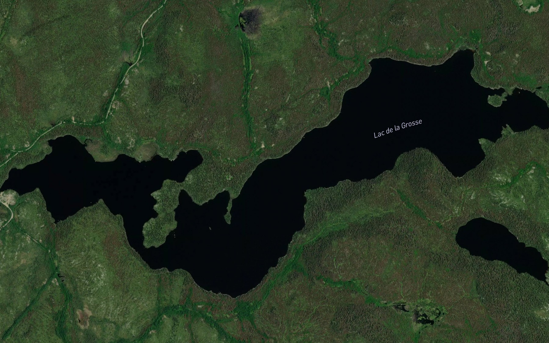 Satellite map of the Lac de la Grosse