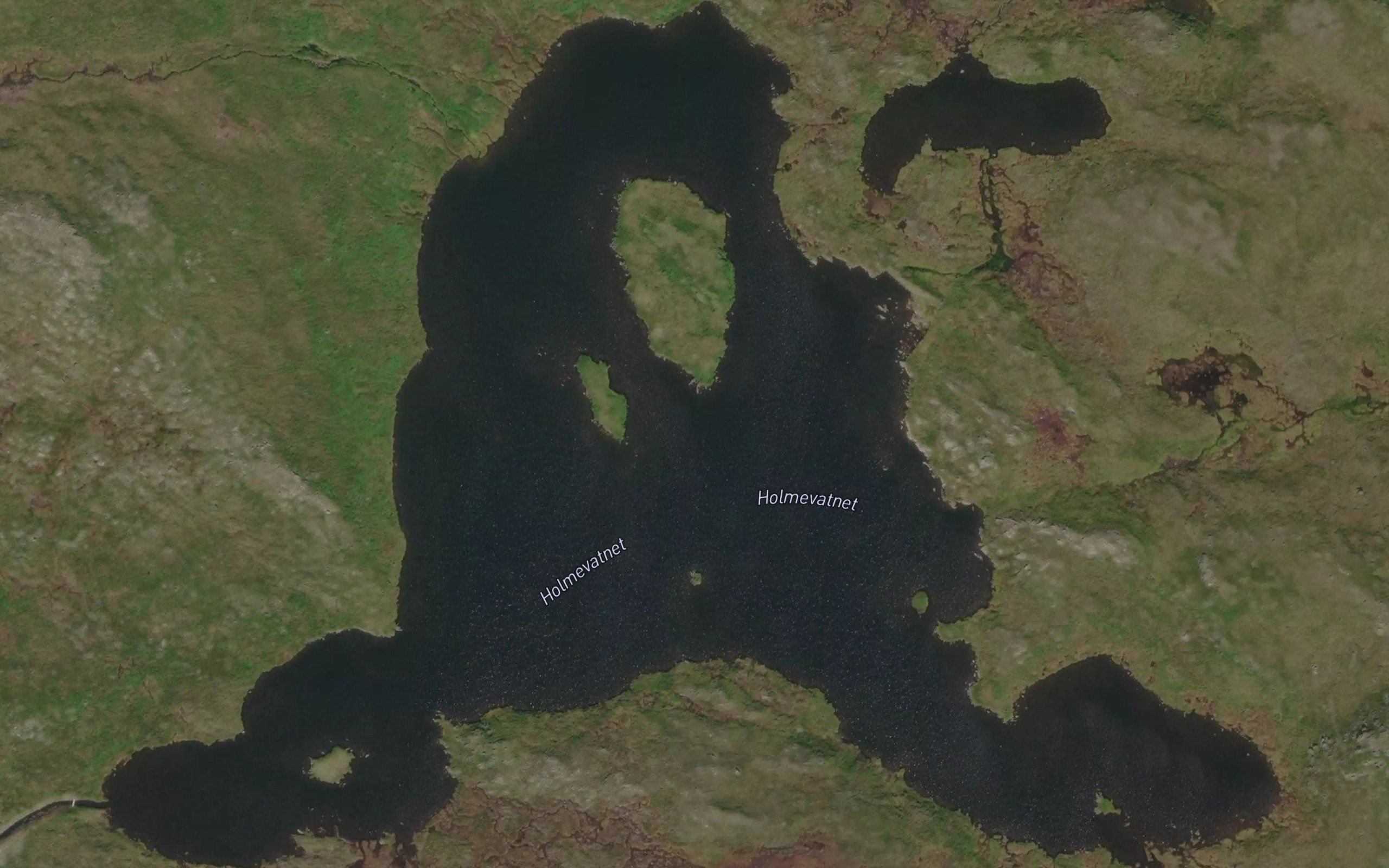 Holmevatnet