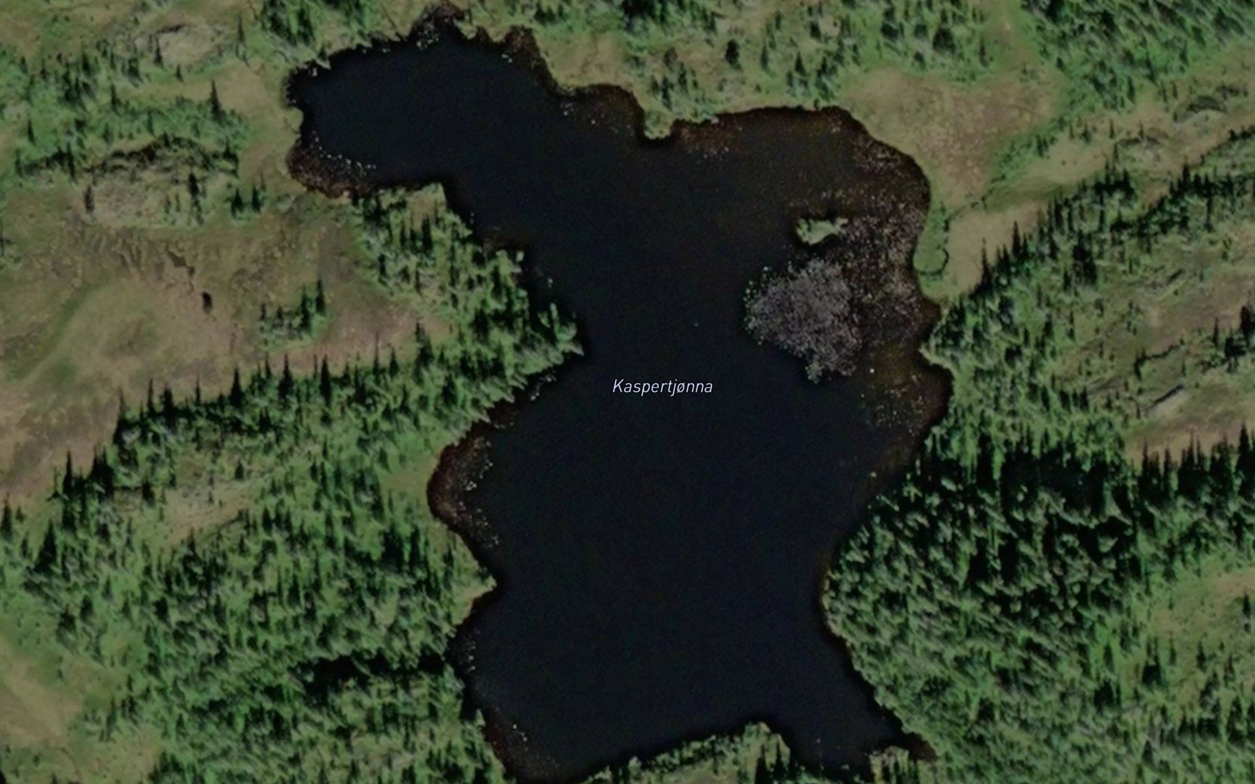 Langastjorna