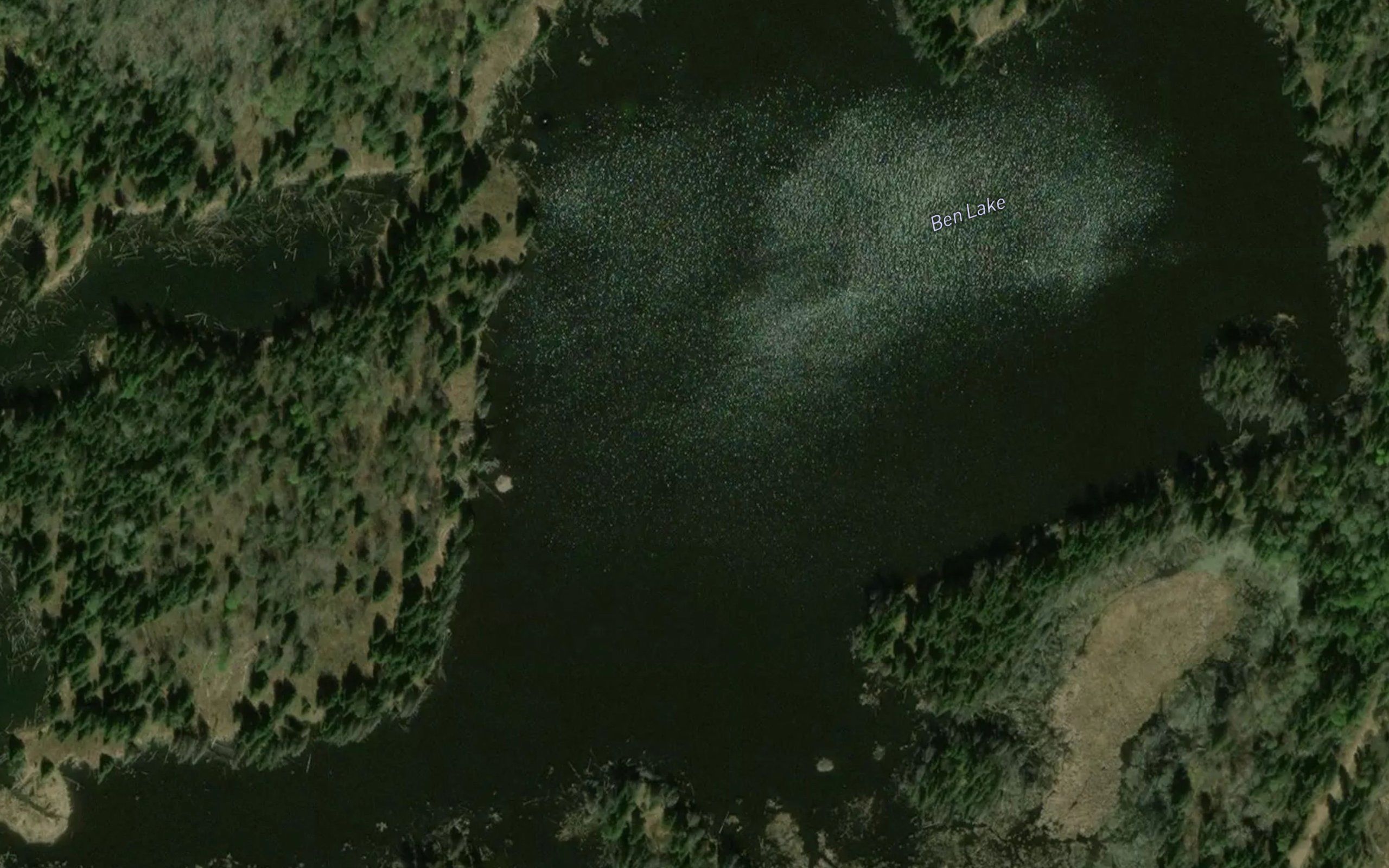 Ben Lake