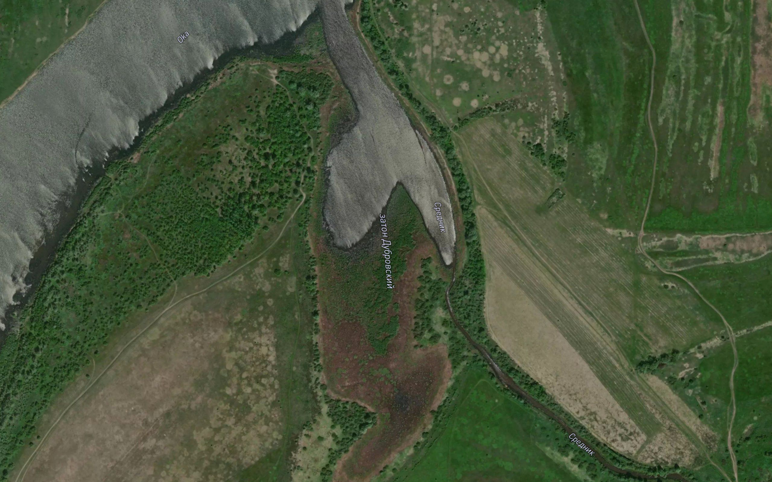 Srednik