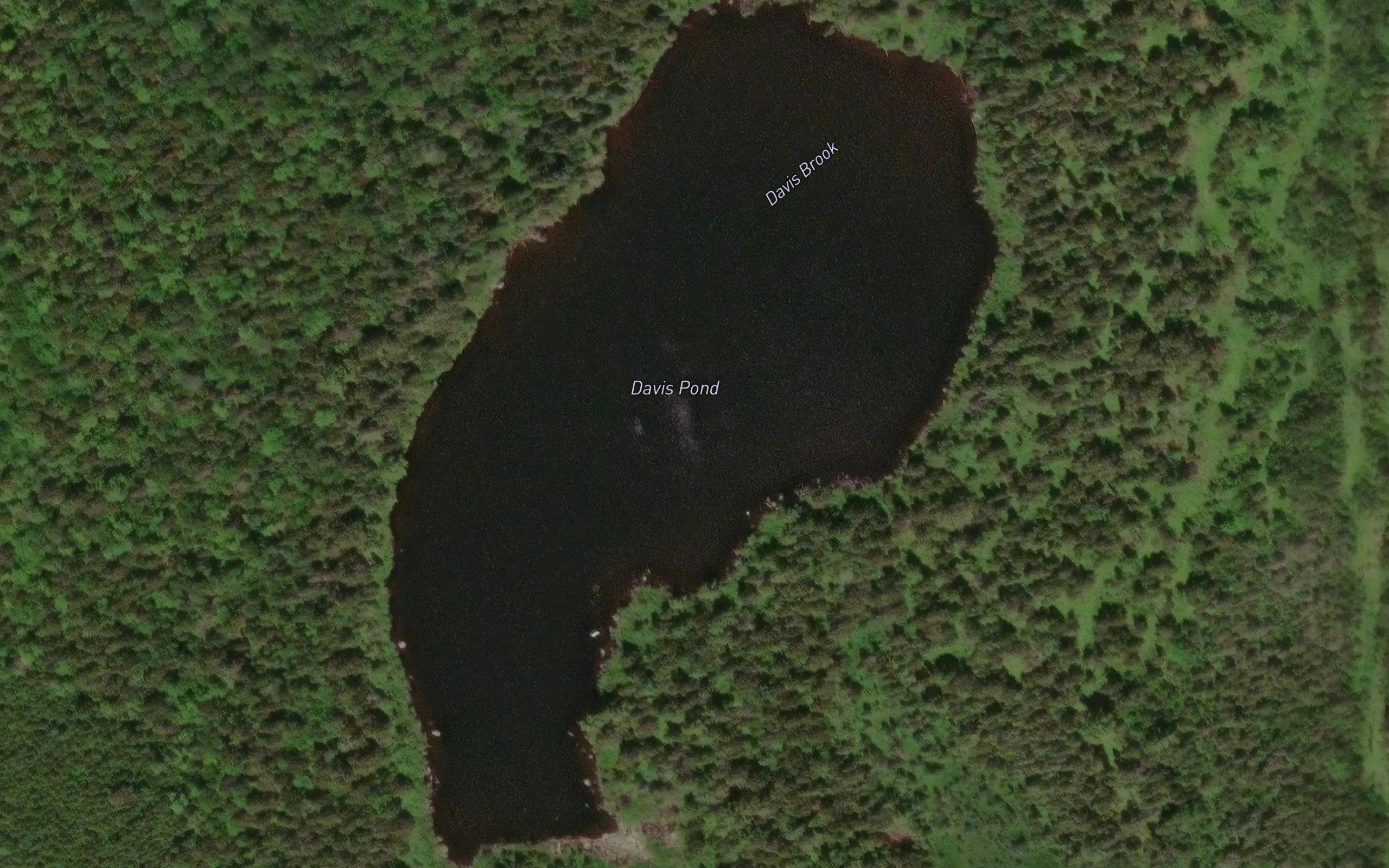 Davis Pond