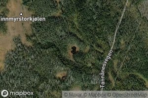 Holmtjonna