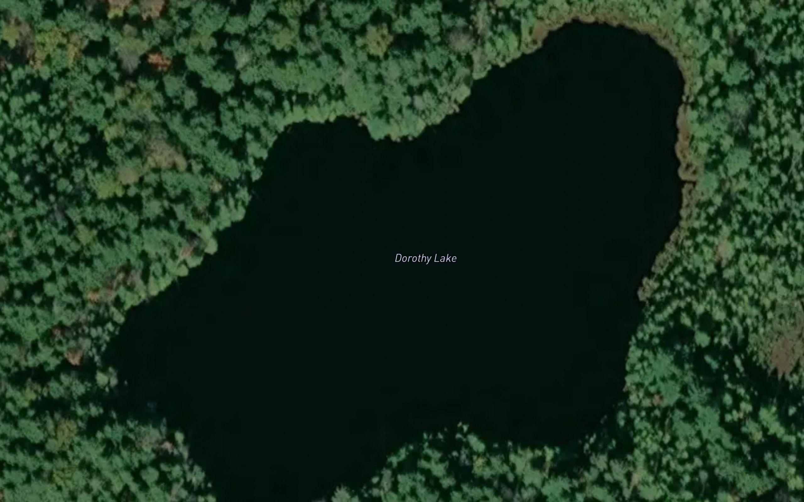 Dorothy Lake