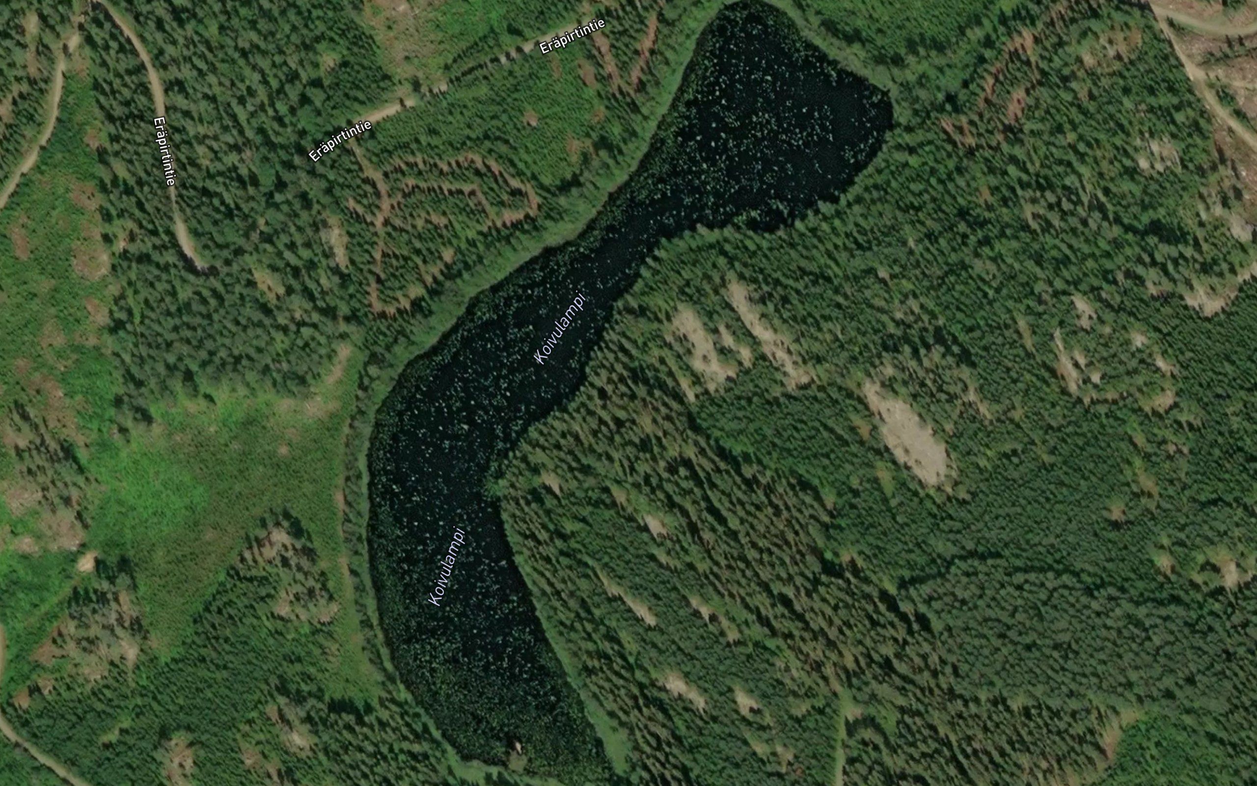 Koivulampi