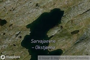 Okstjorna