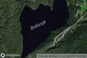 Bolkesja