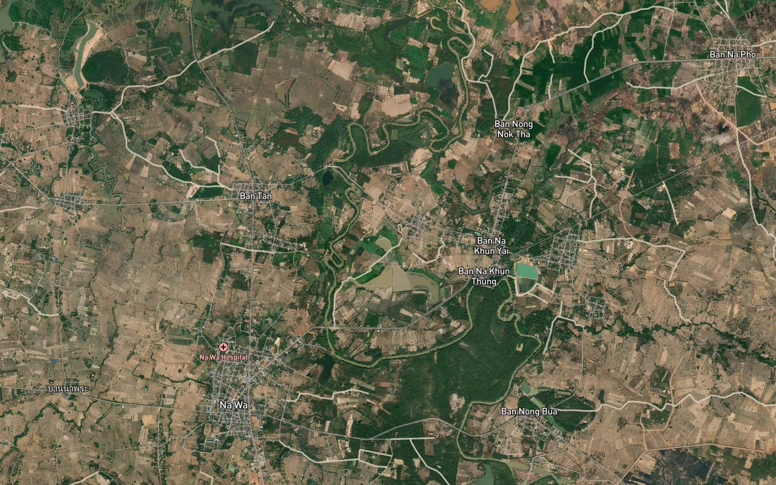 Nong Yama